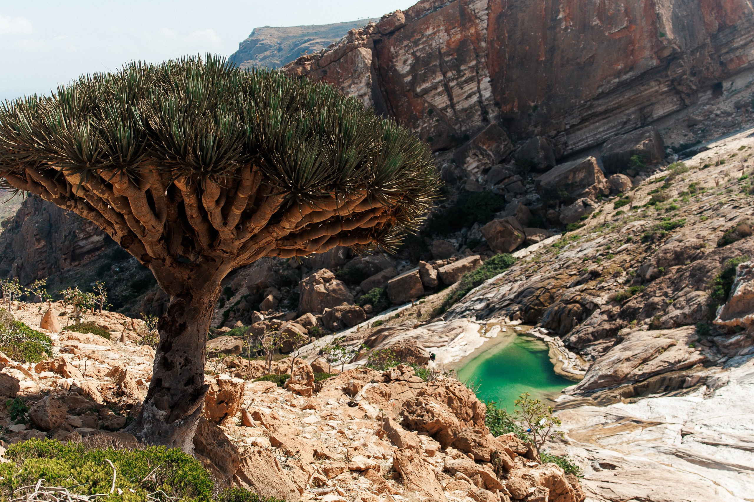 Socotra