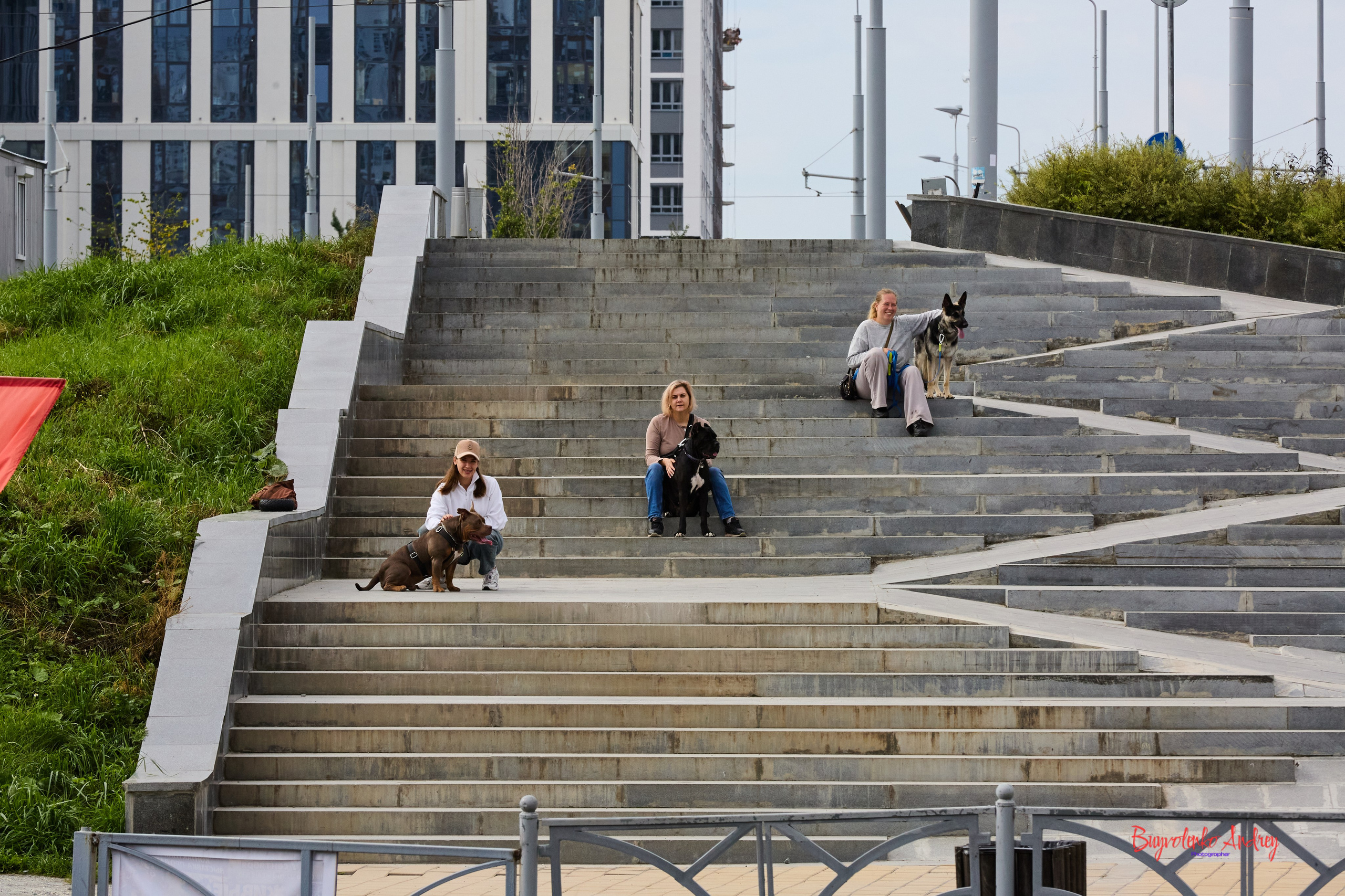 Проект фотопрогулка с хвостиком. Buyvolenko Andrey