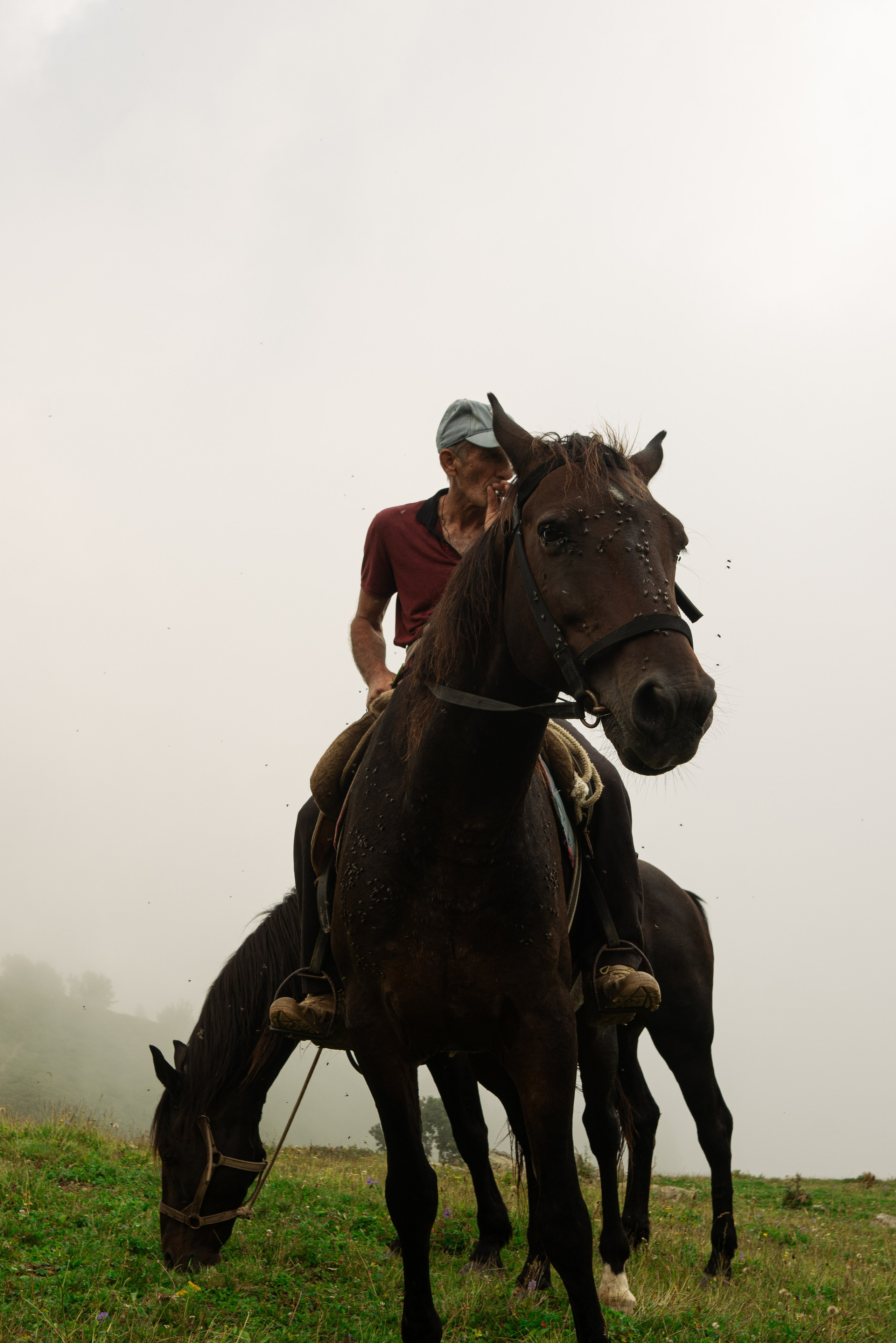 Милость гор. Портфолио фотографа Анастасии Блохиной