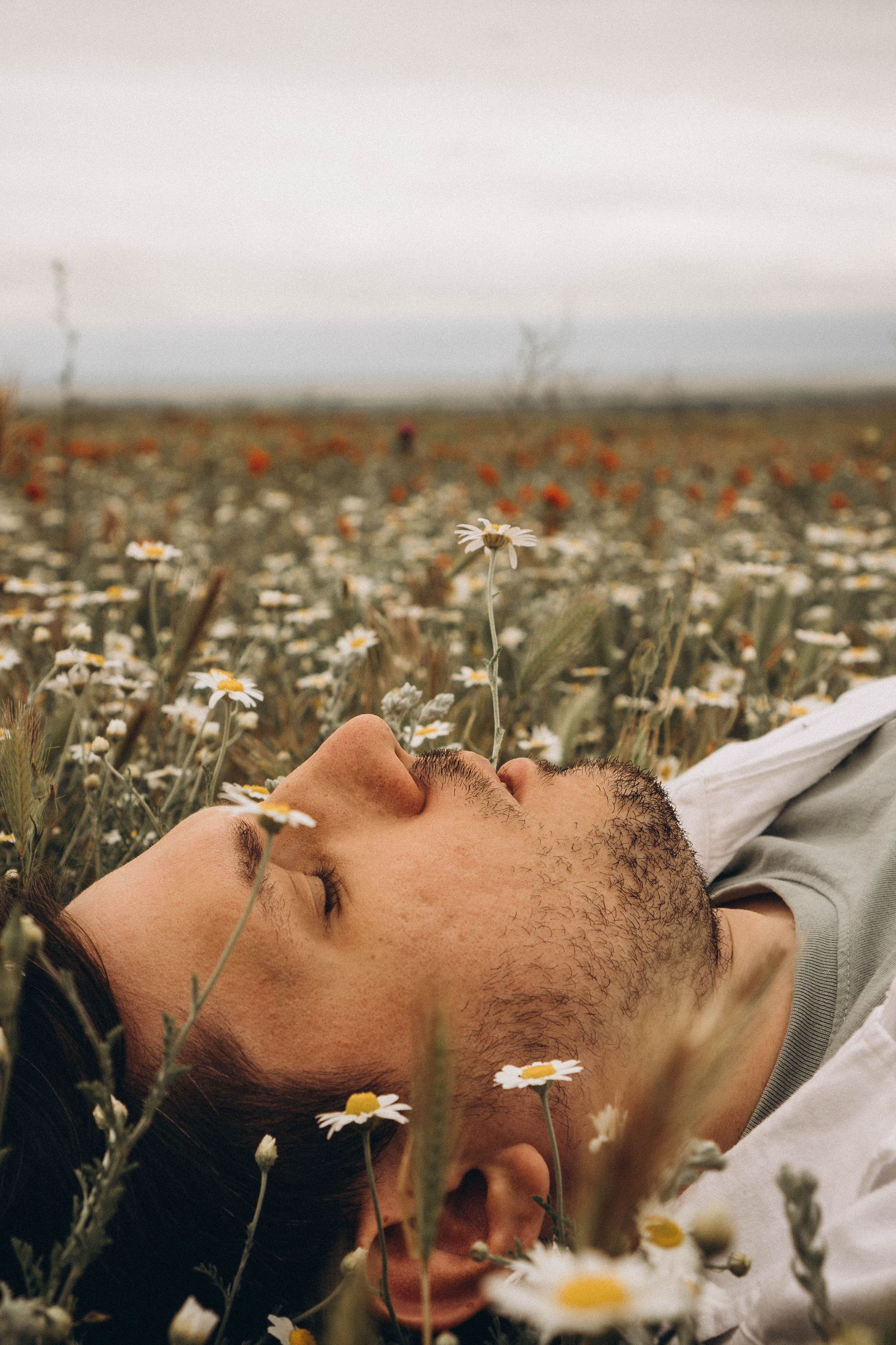 Маки. Профессиональный фотограф, Санкт-Петербург — Виктория Богомолова