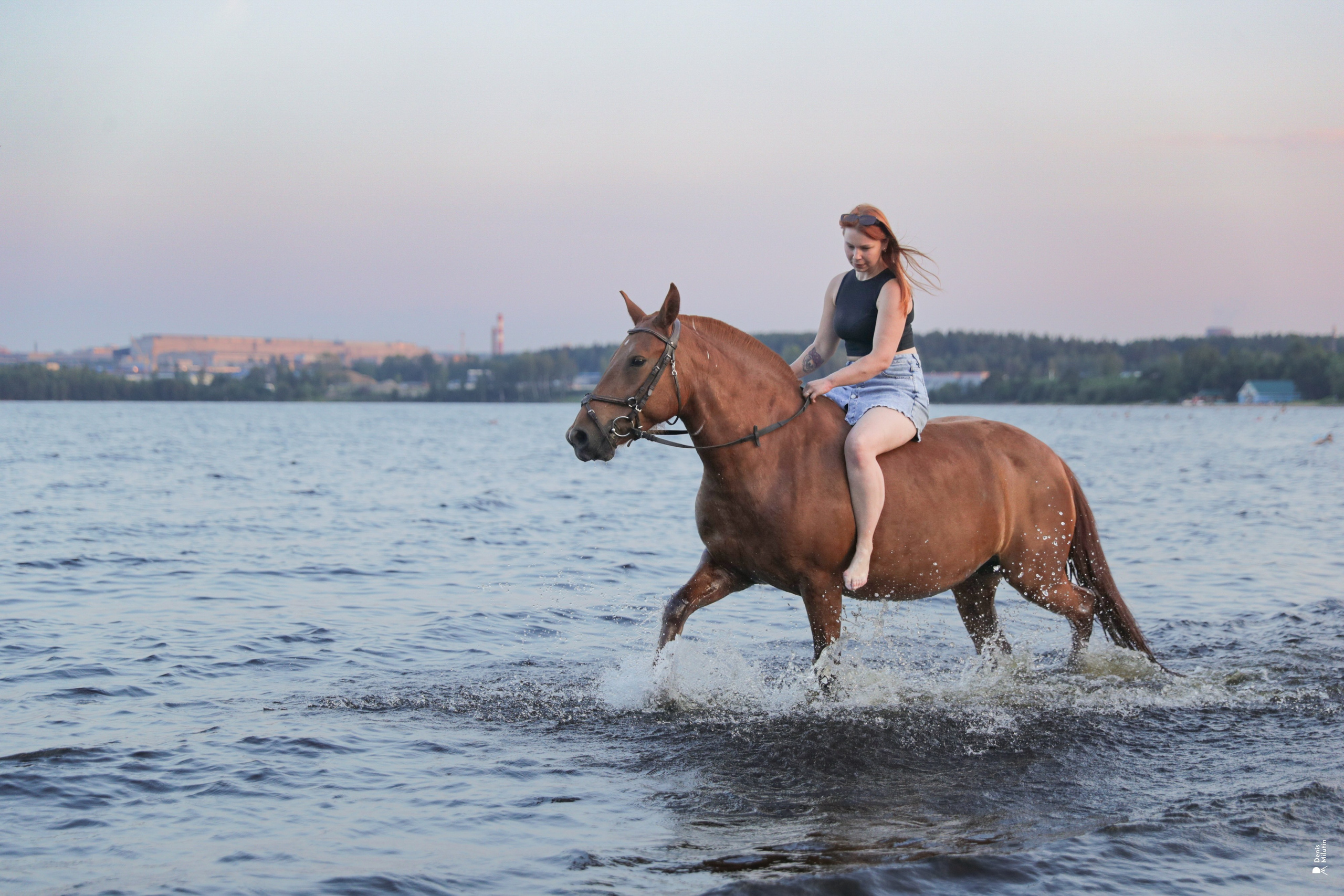 Фото с лошадьми. Портретный фотограф Денис Милютин