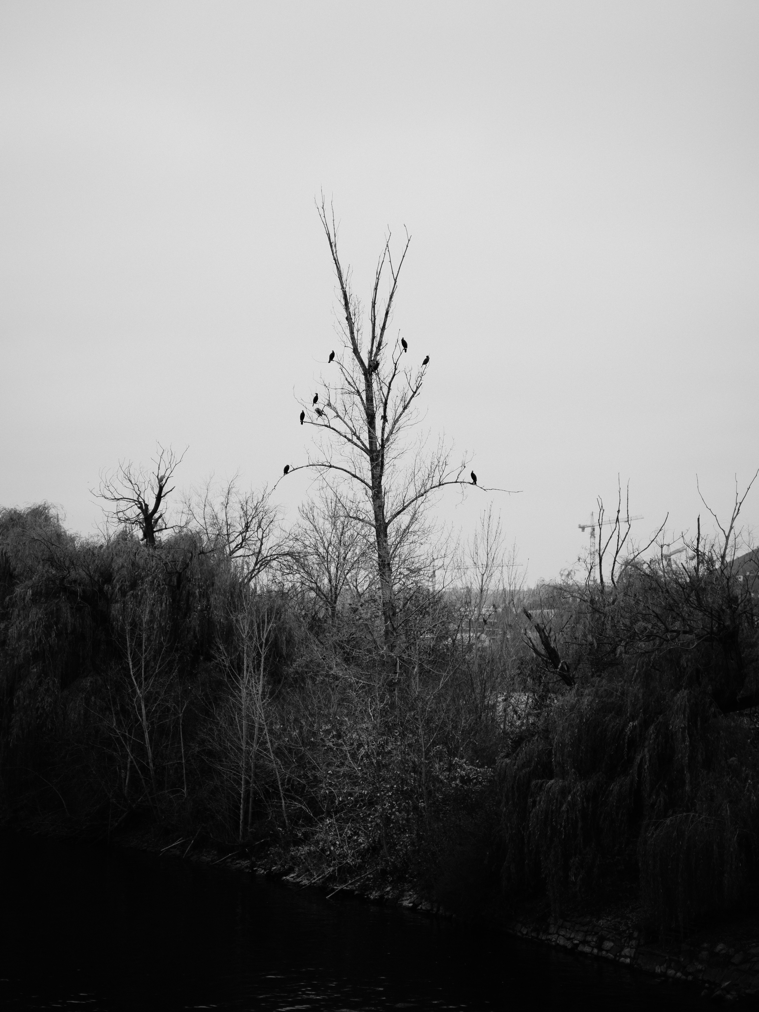 Hamdam. Photographer in Prague Alexander Pivovarov