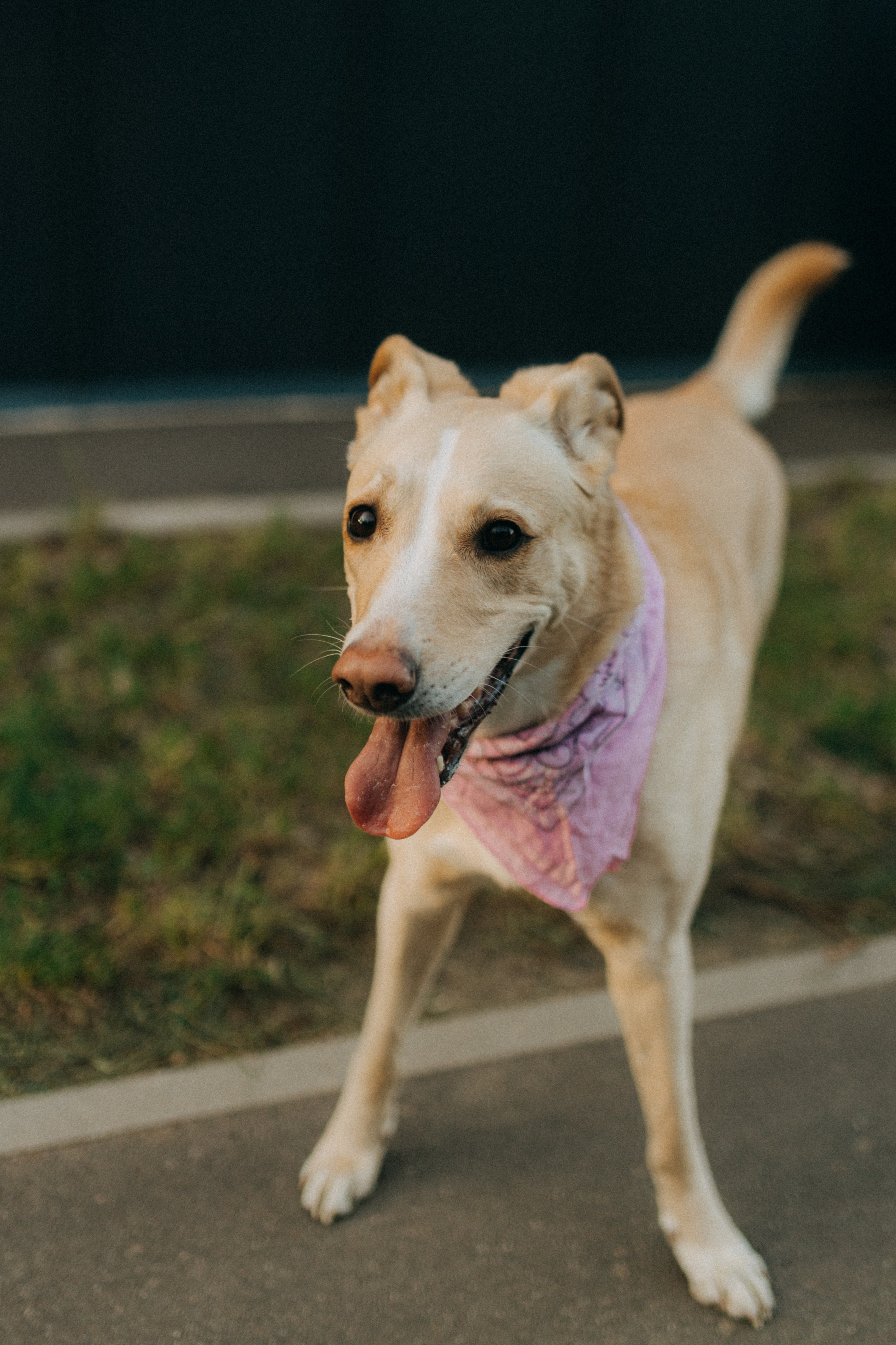 Настя, Давид, Рустам. Фотограф НОГИНСК, Москва, Анастасия Белая