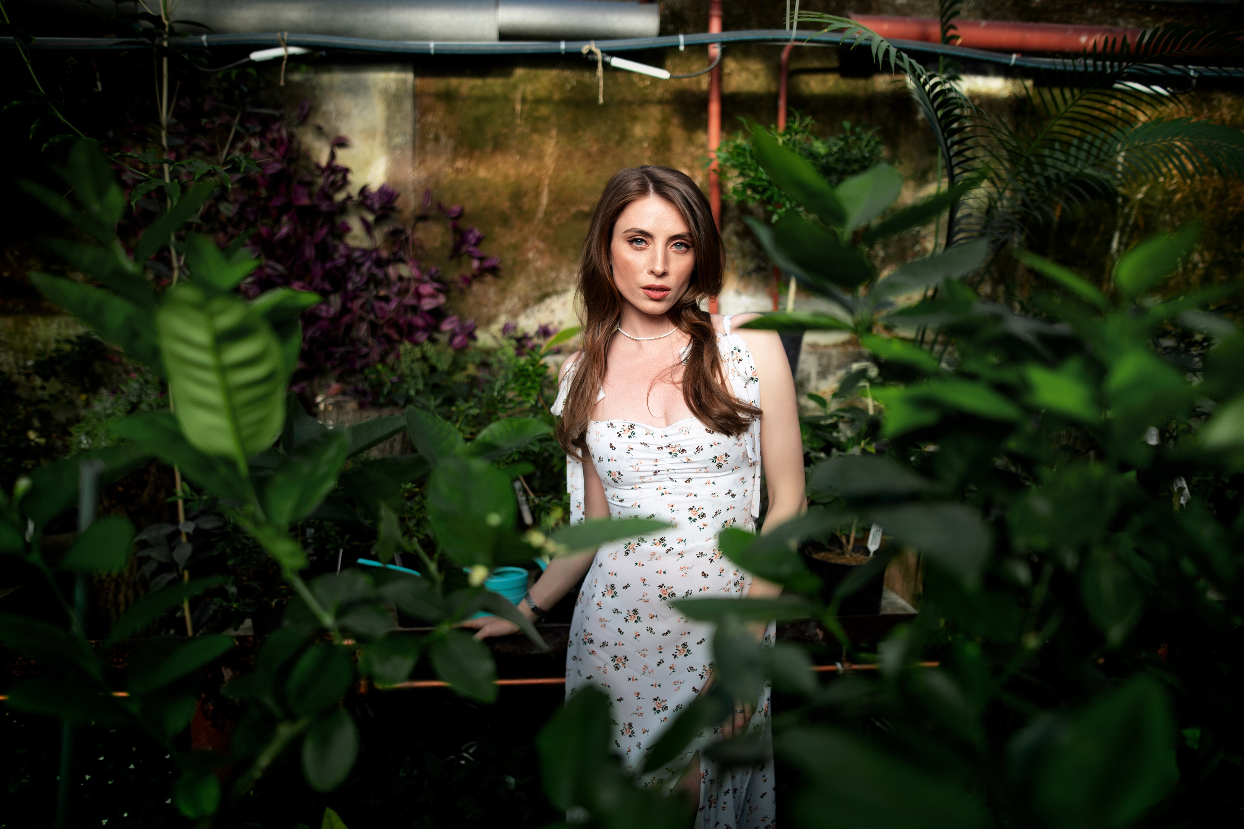 Фотосессия с Надеждой с люпинами в формате «для себя». Дмитрий Шульгин, портретный фотограф в Воронеже