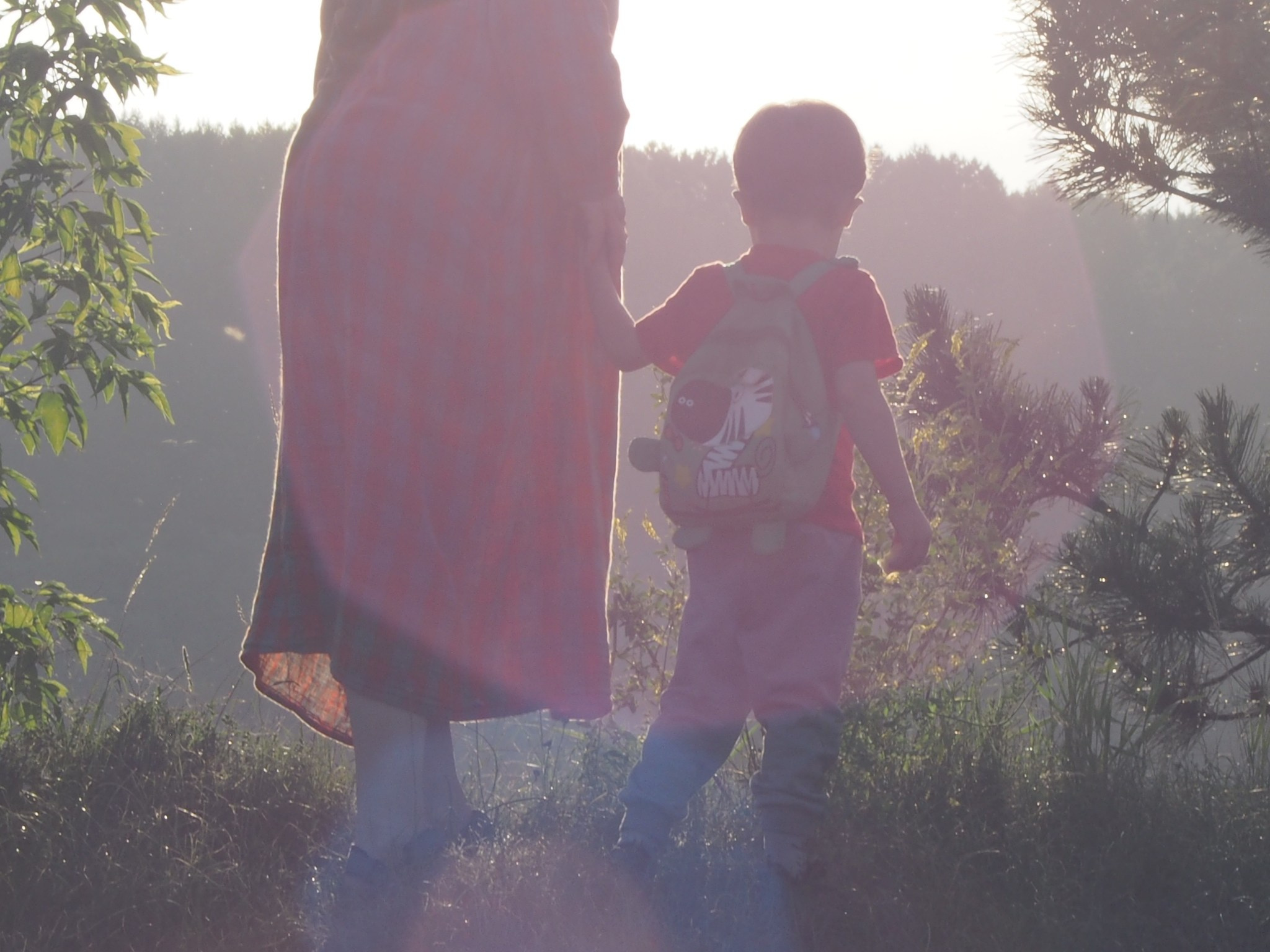 Дети. Смотри, красота!