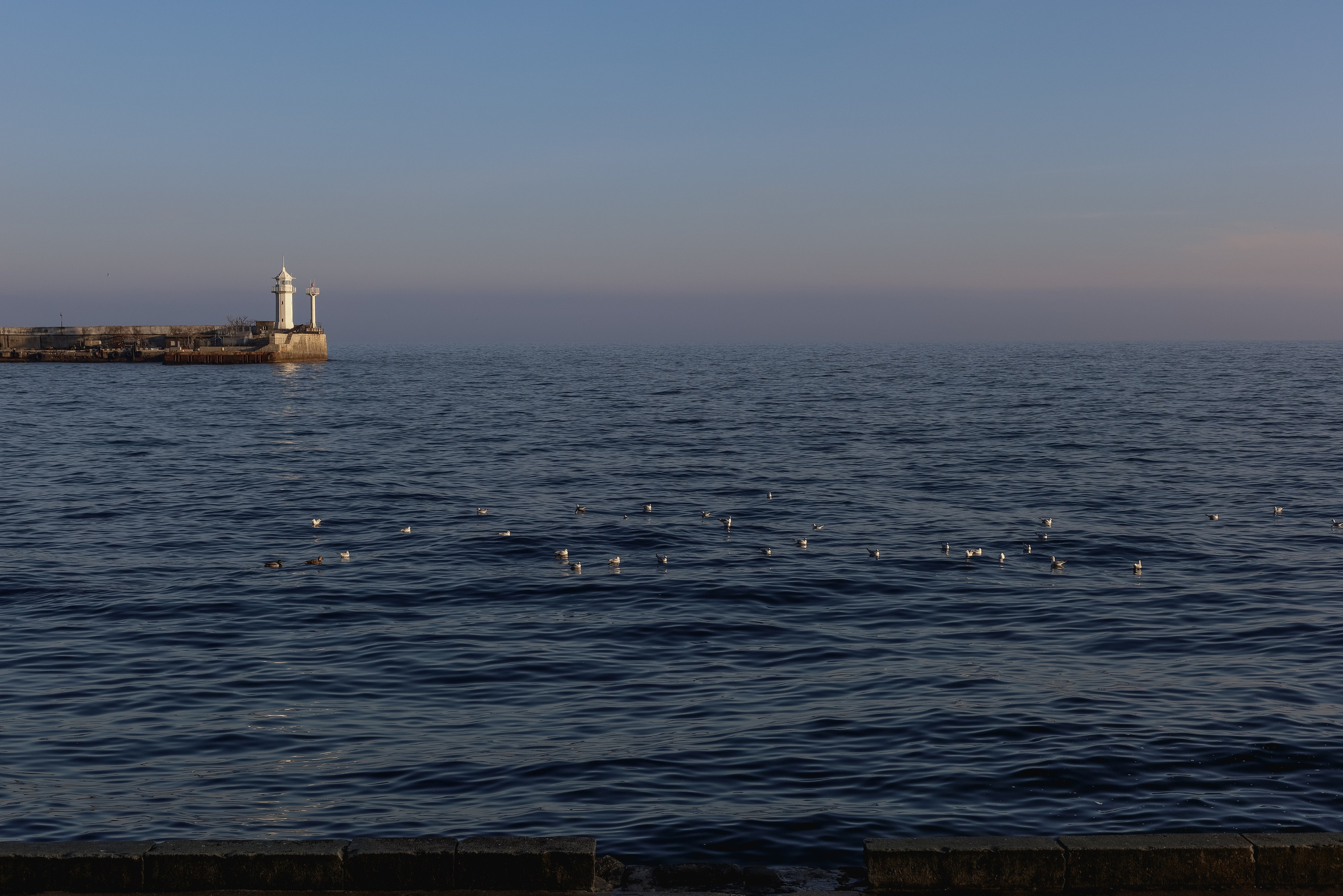 Природа &. Фотохудожник в СПб