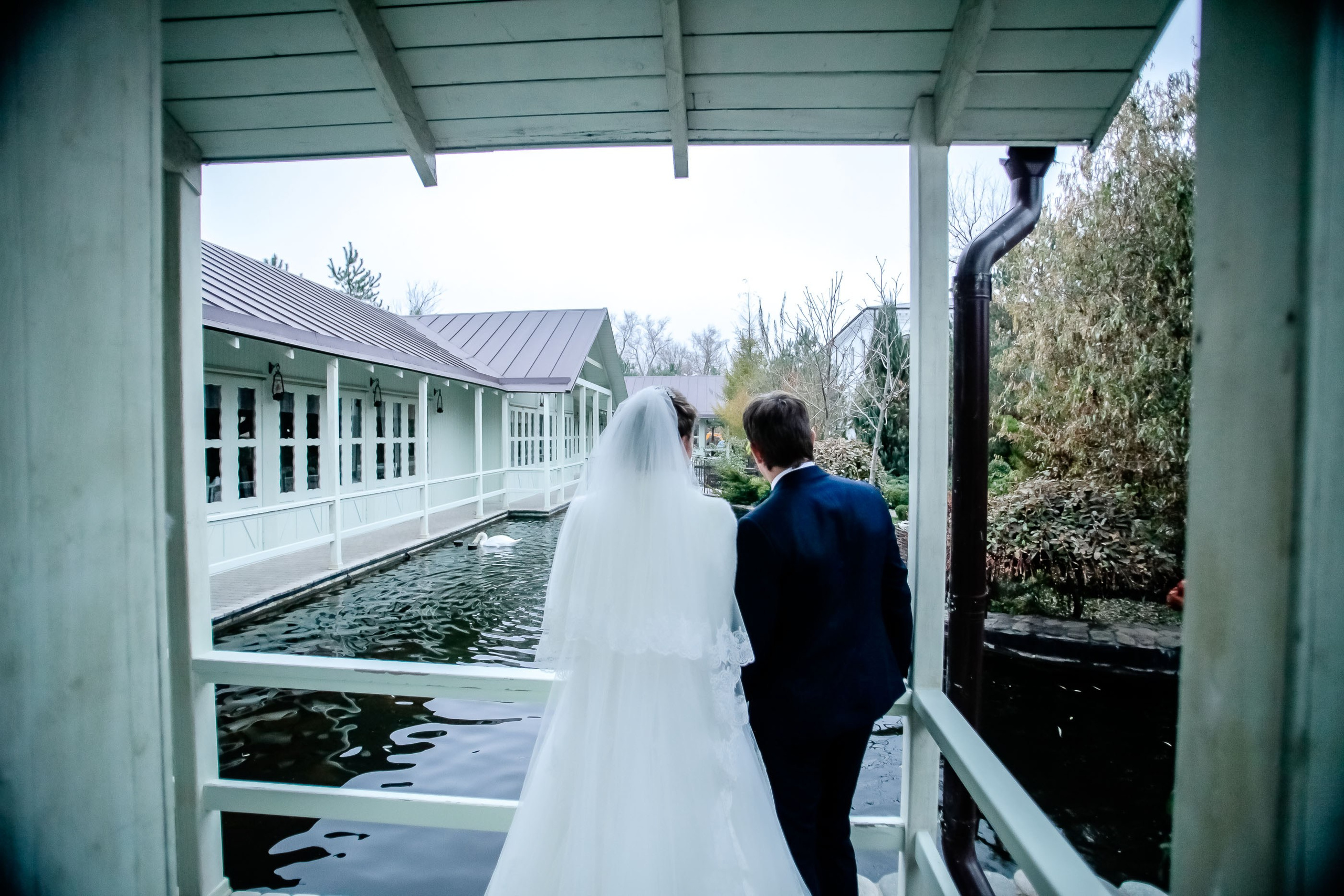 Прогулка/Walk. Максим Матвийченко и Виктория Басова профессионалы своего дела