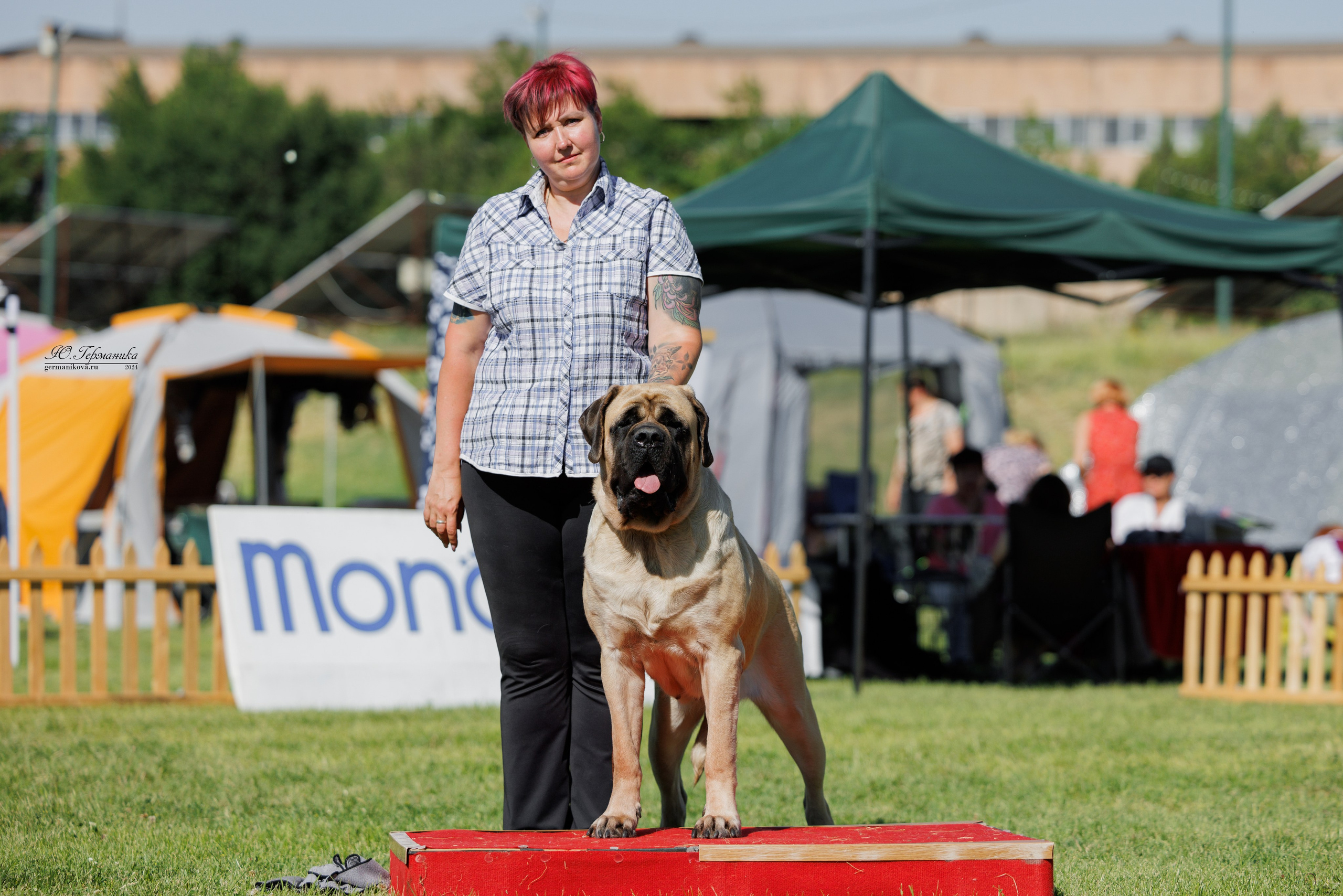 Ереван 3-5.06.2024. Фотограф-анималист Юлия Германика
