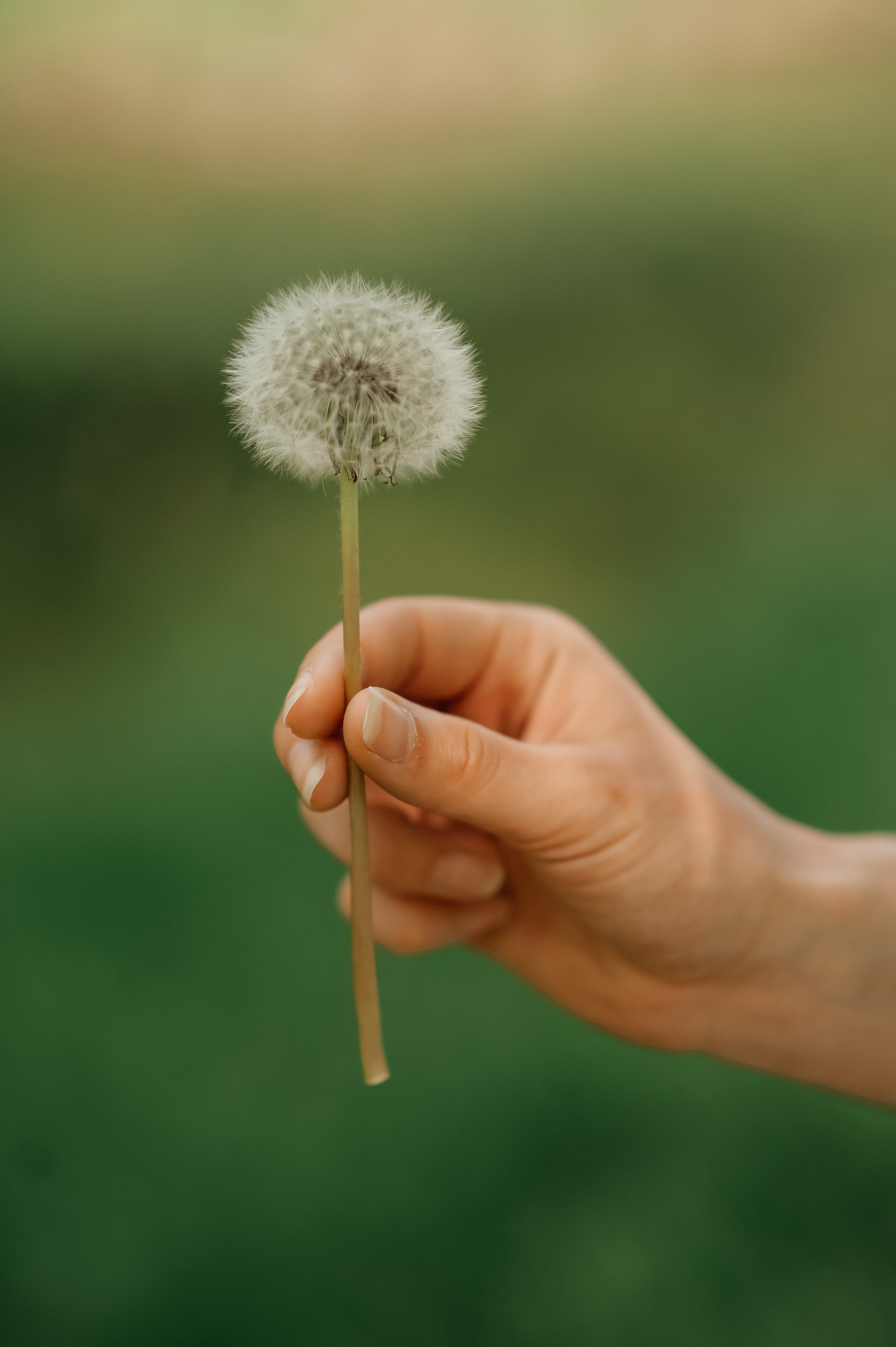 Аня прогулка. Семейный фотограф Олеся Батурина Рязань