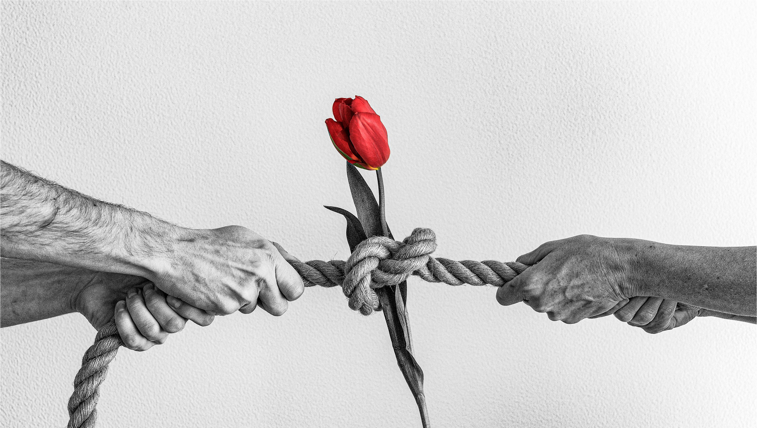 Философия портрета VI поток