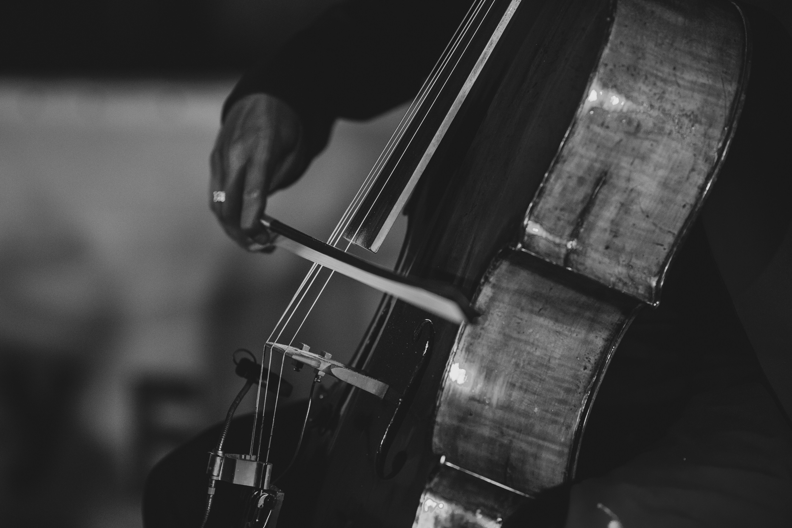 Гольфстрим. Главная