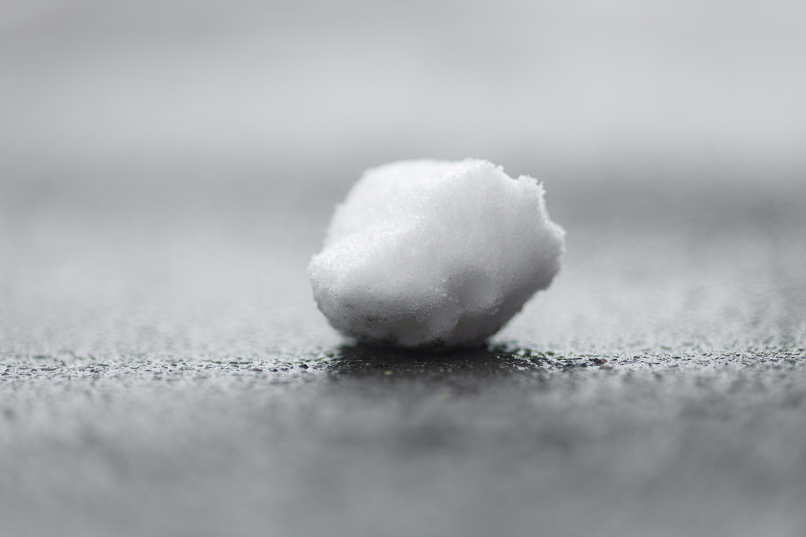 Проект «366»|2024|Фото каждый день. LENA GRACE photographer ||ЛЕНА ГРЭЙС фотограф