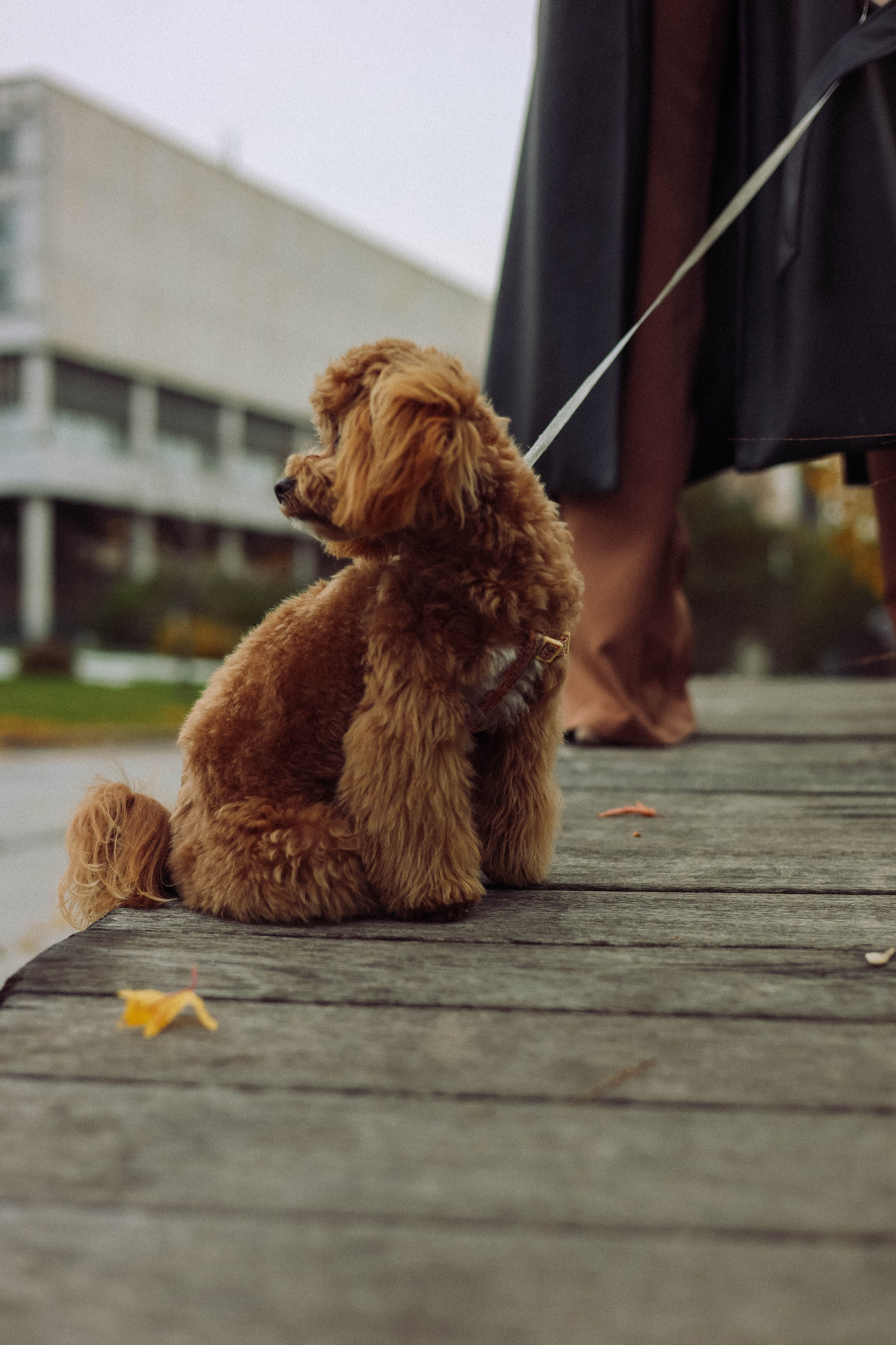 Кира. Фотограф в Москве Анастасия Калинина