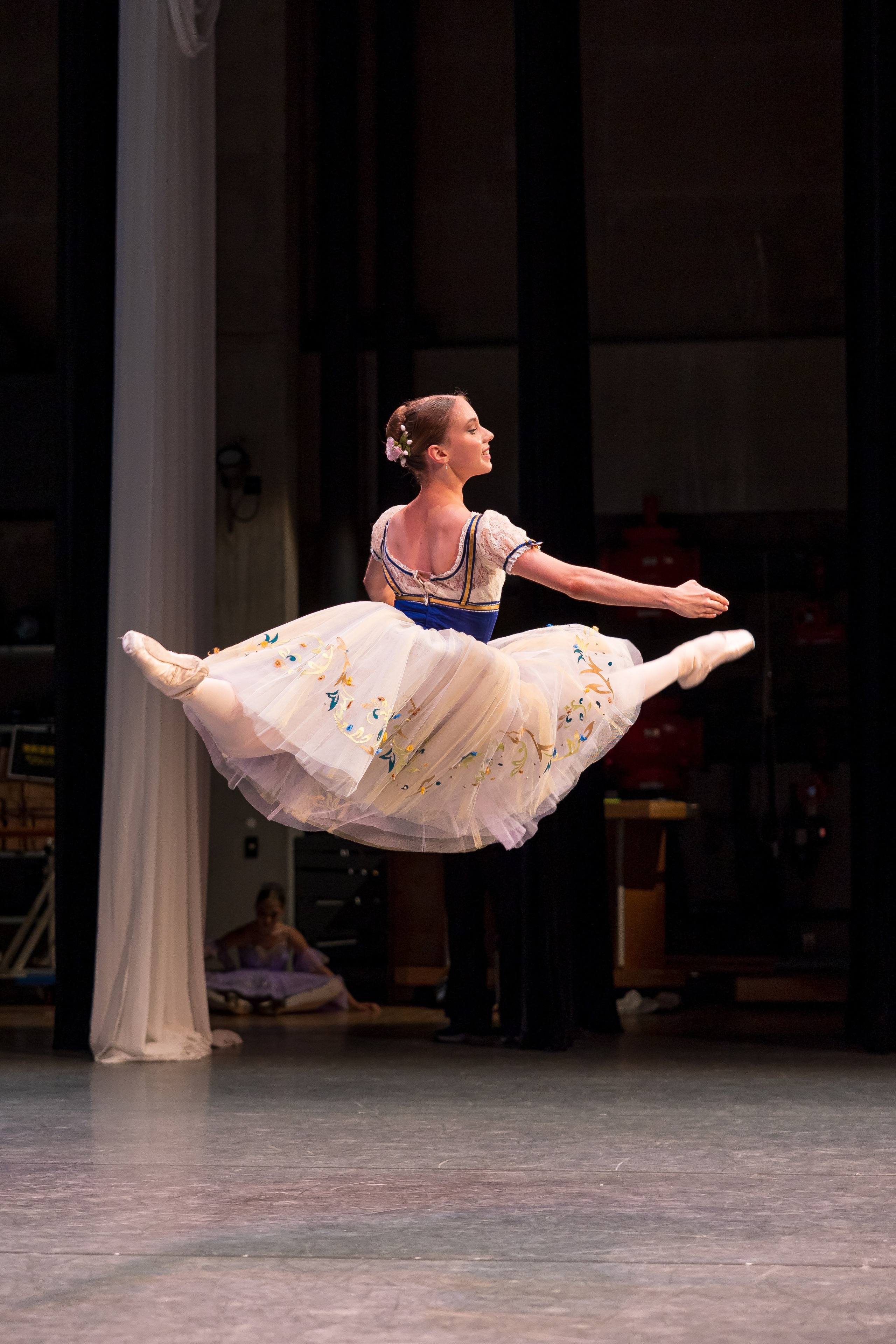 Репортажная съёмка концертов, открытых уроков, балетов. Балетный фотограф Алина Ханько — Душа Балета