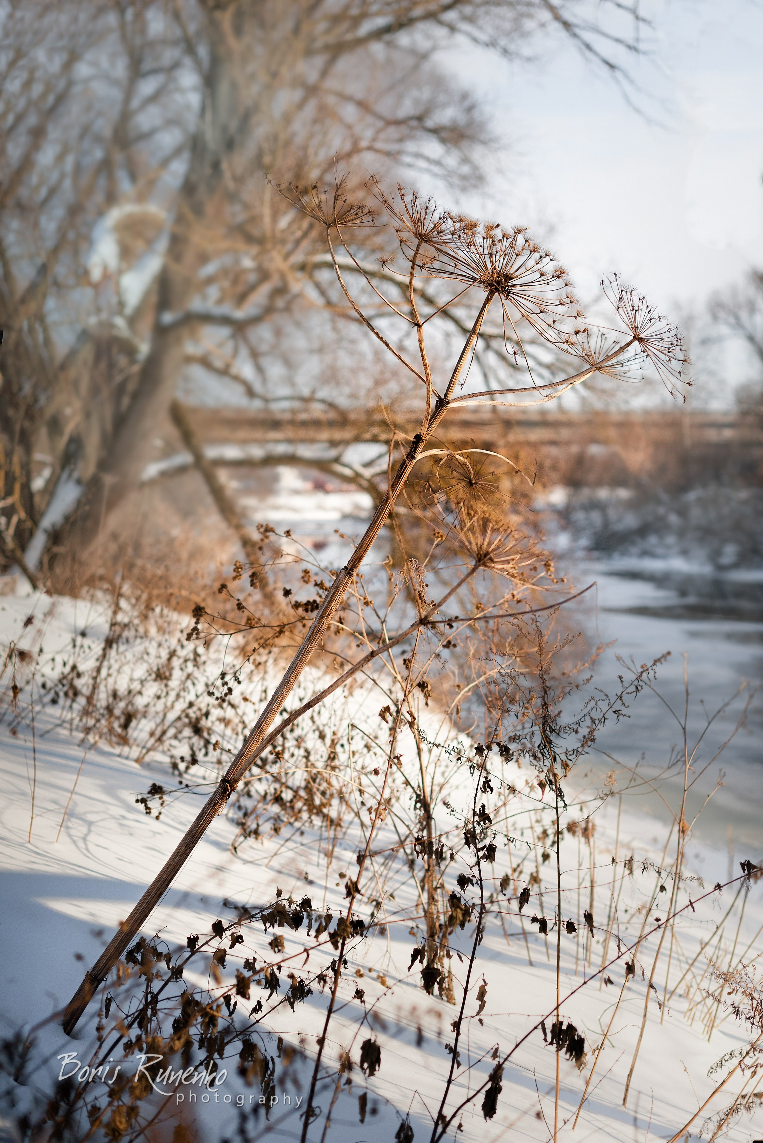 Пейзажный альбом 2. Борис Руненко. Пейзажный и travel-фотограф