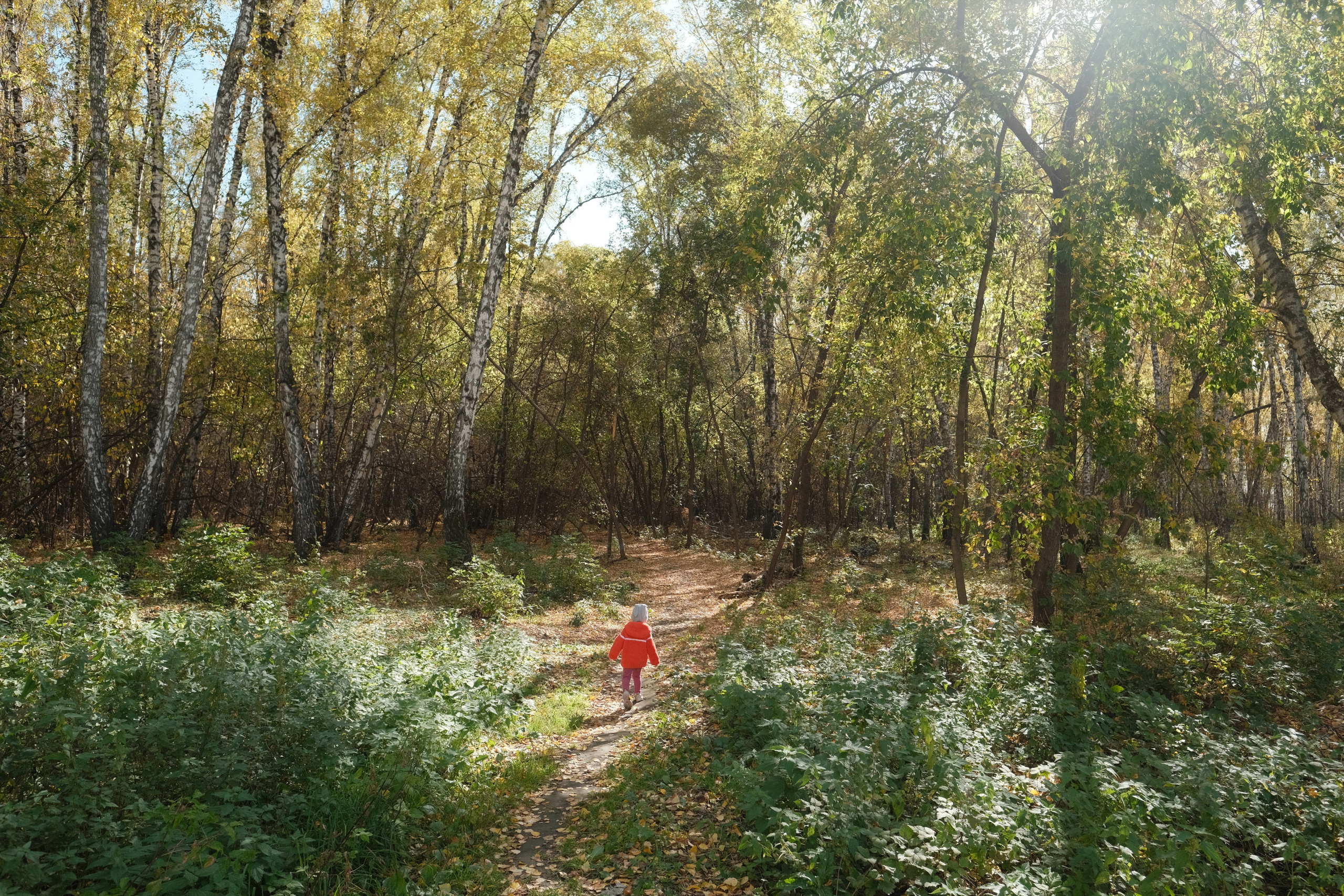 Наблюдения. Семейный фотограф в Новосибирске Артём Кузнецов