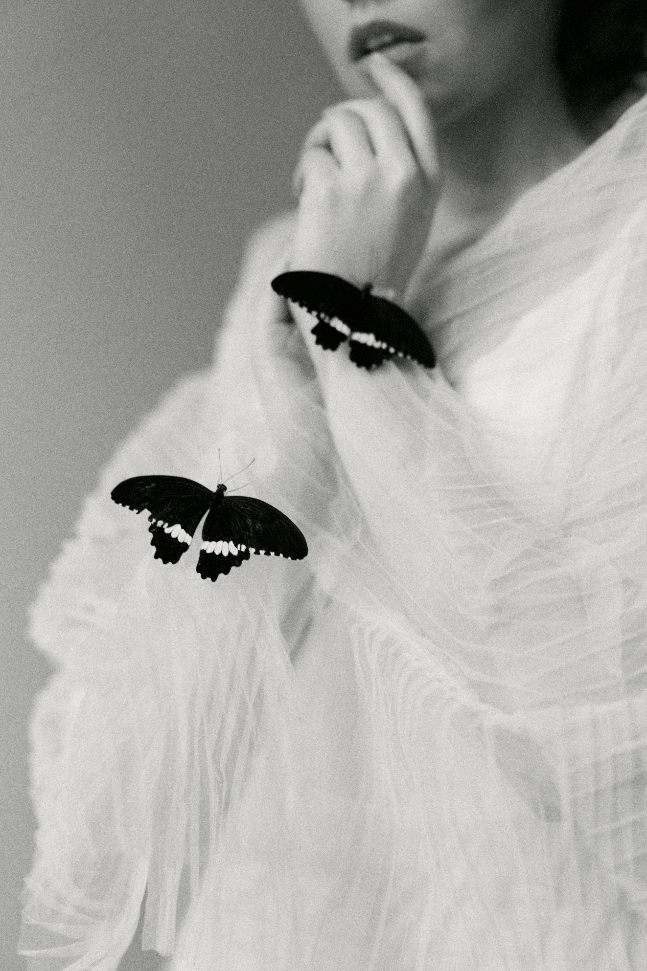 BUTTERFLY. Свадебный фотограф Жучкова Елизавета в Москве