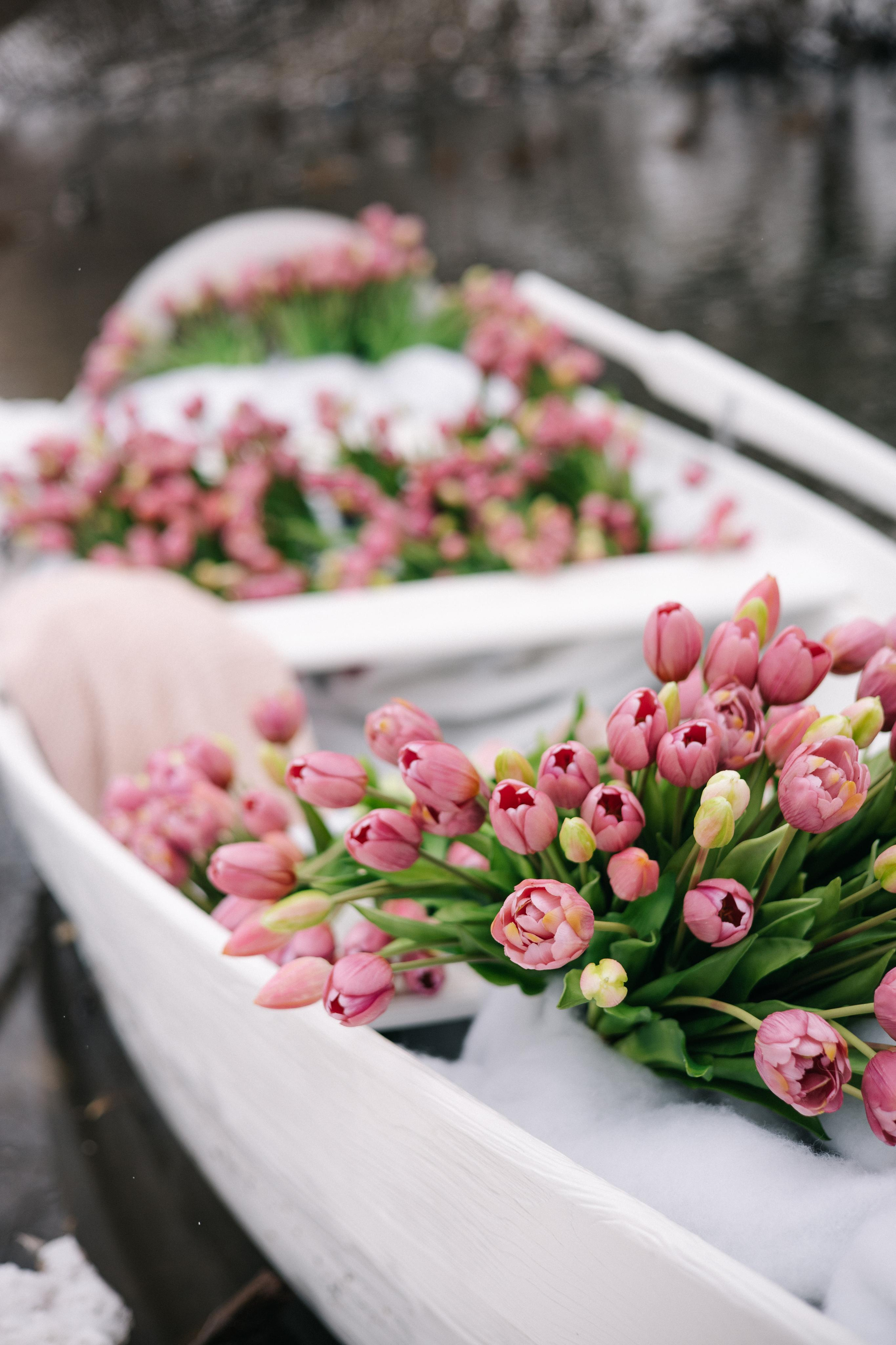 Анастасия. Marina Shakirova Photography