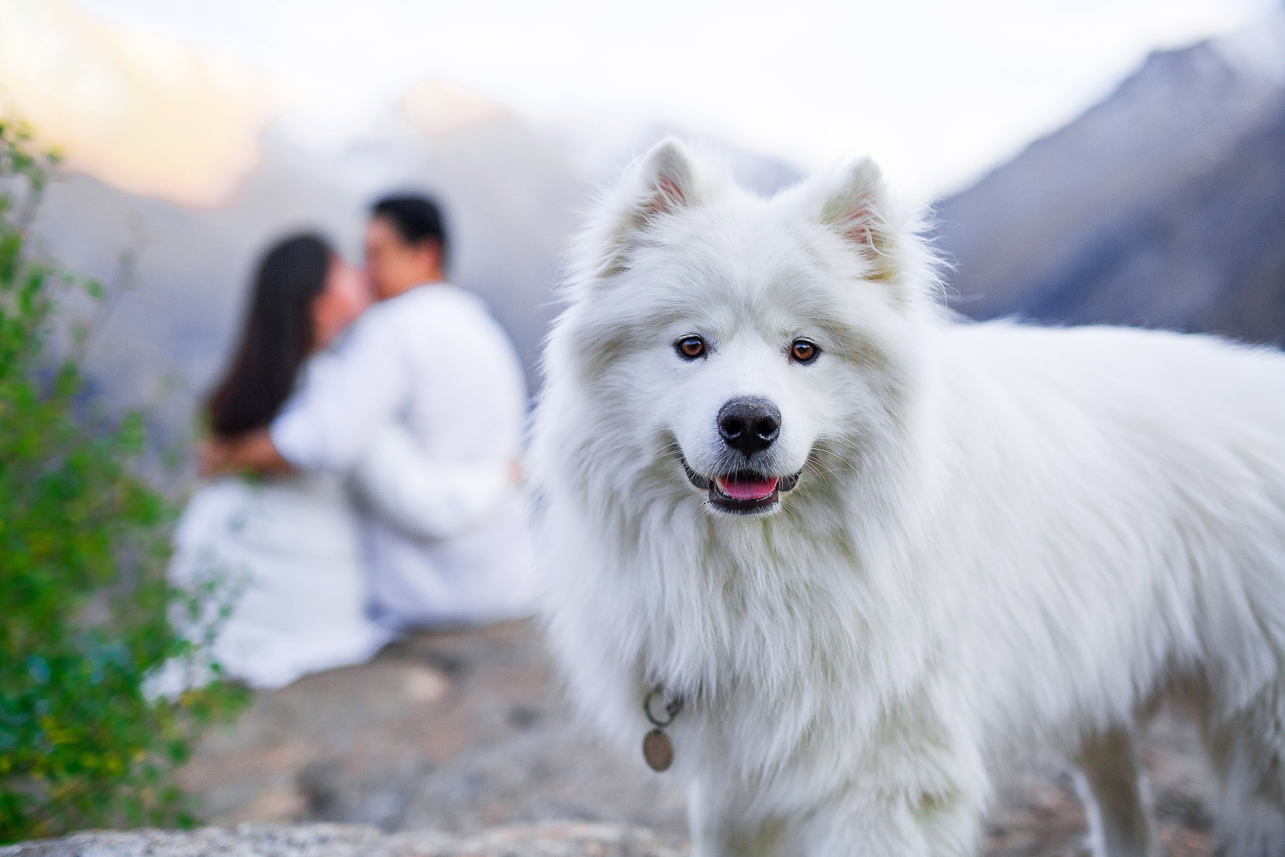 Фото-прогулка на Большом Алмаатинском Озере. Свадебный и семейный фотограф в Алматы Алексей Балышев