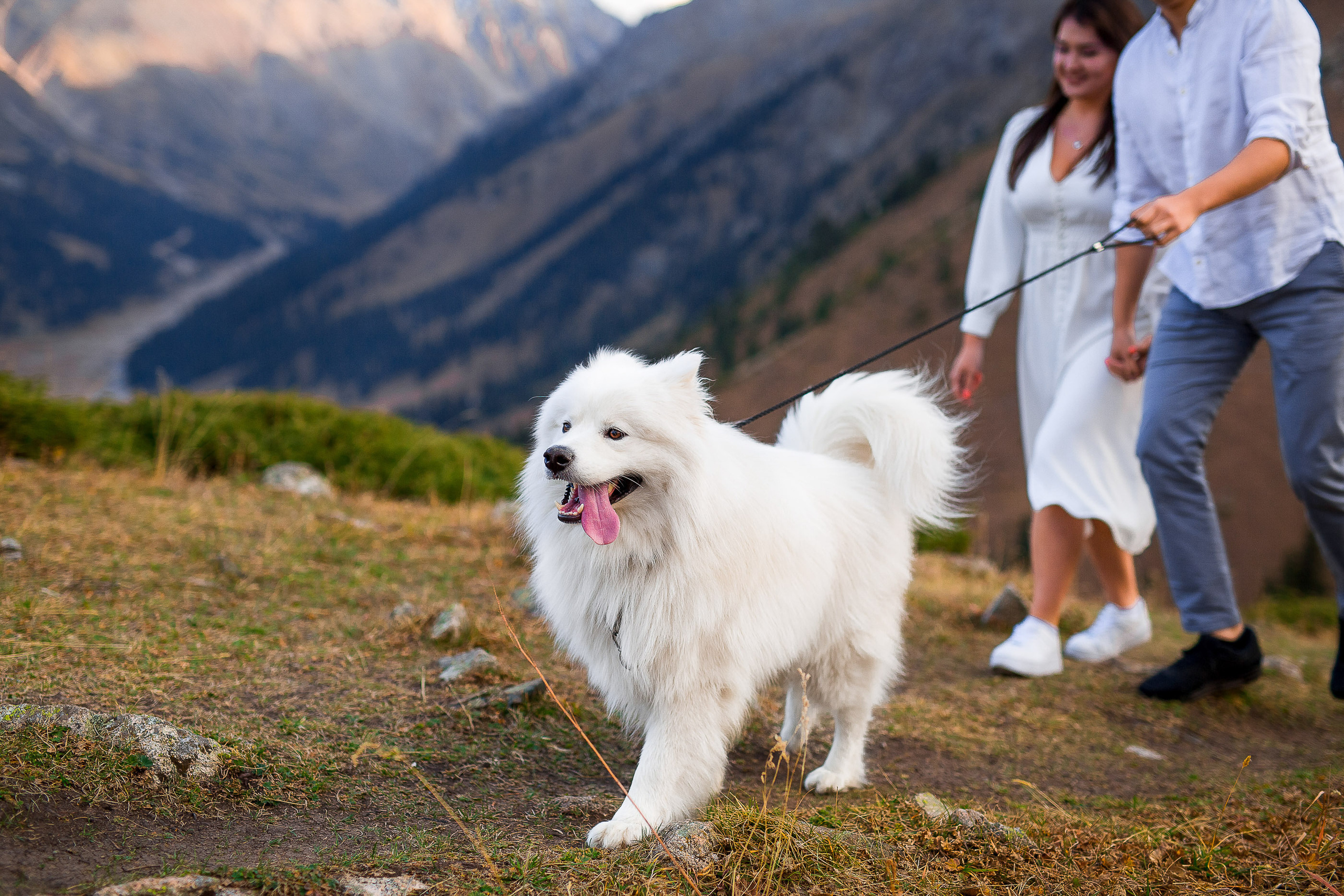 Фото-прогулка на Большом Алмаатинском Озере. Свадебный и семейный фотограф в Алматы Алексей Балышев