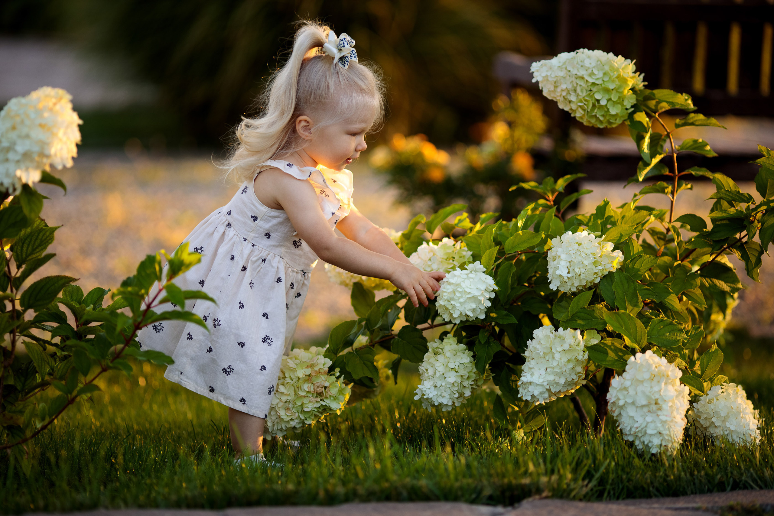 Теплая семейная история в уютном саду. Свадебный и семейный фотограф в Алматы Алексей Балышев