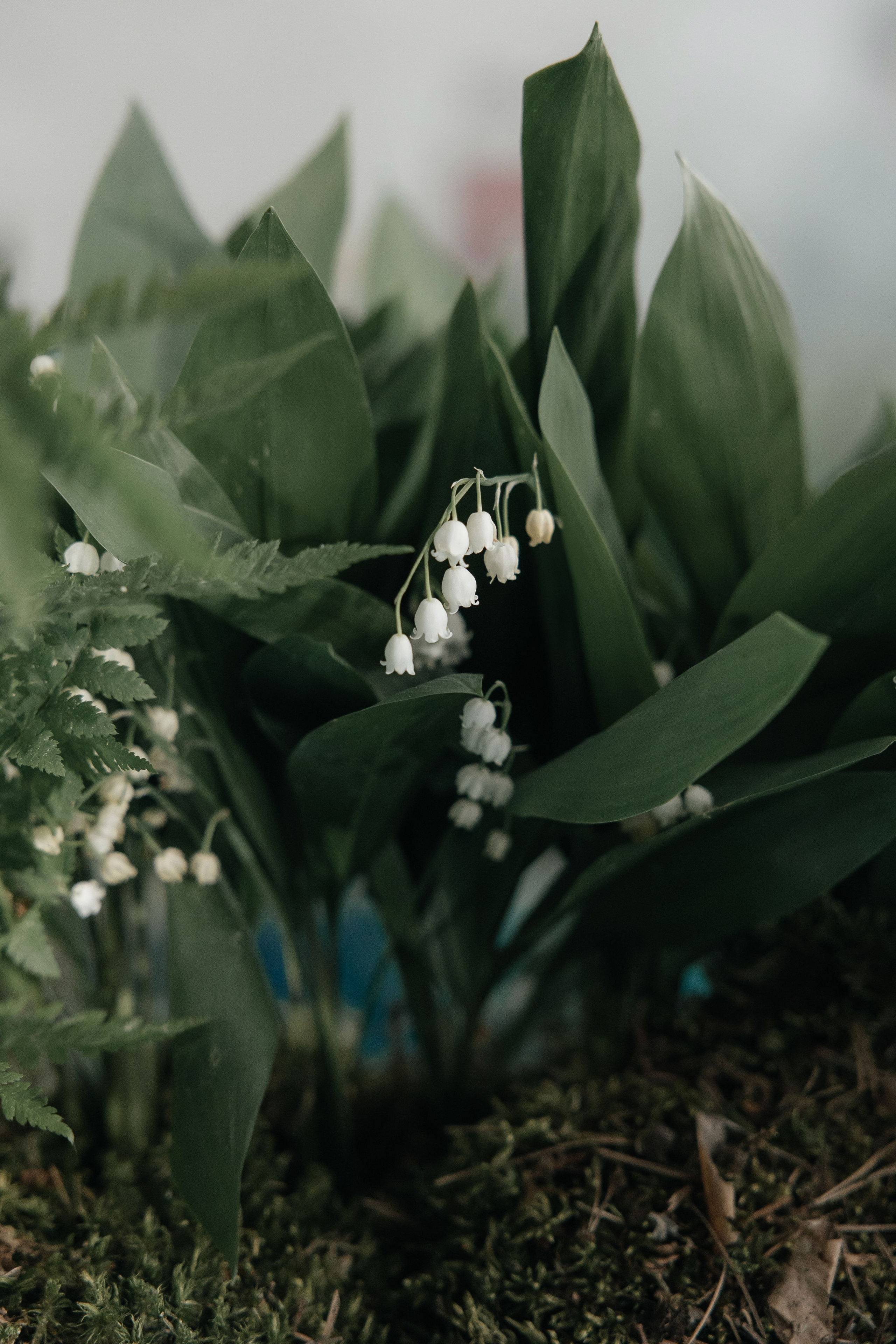 Ваня и Катя. Свадебный и Репортажный фотограф Нижний Новгород Москва Ежов Иван