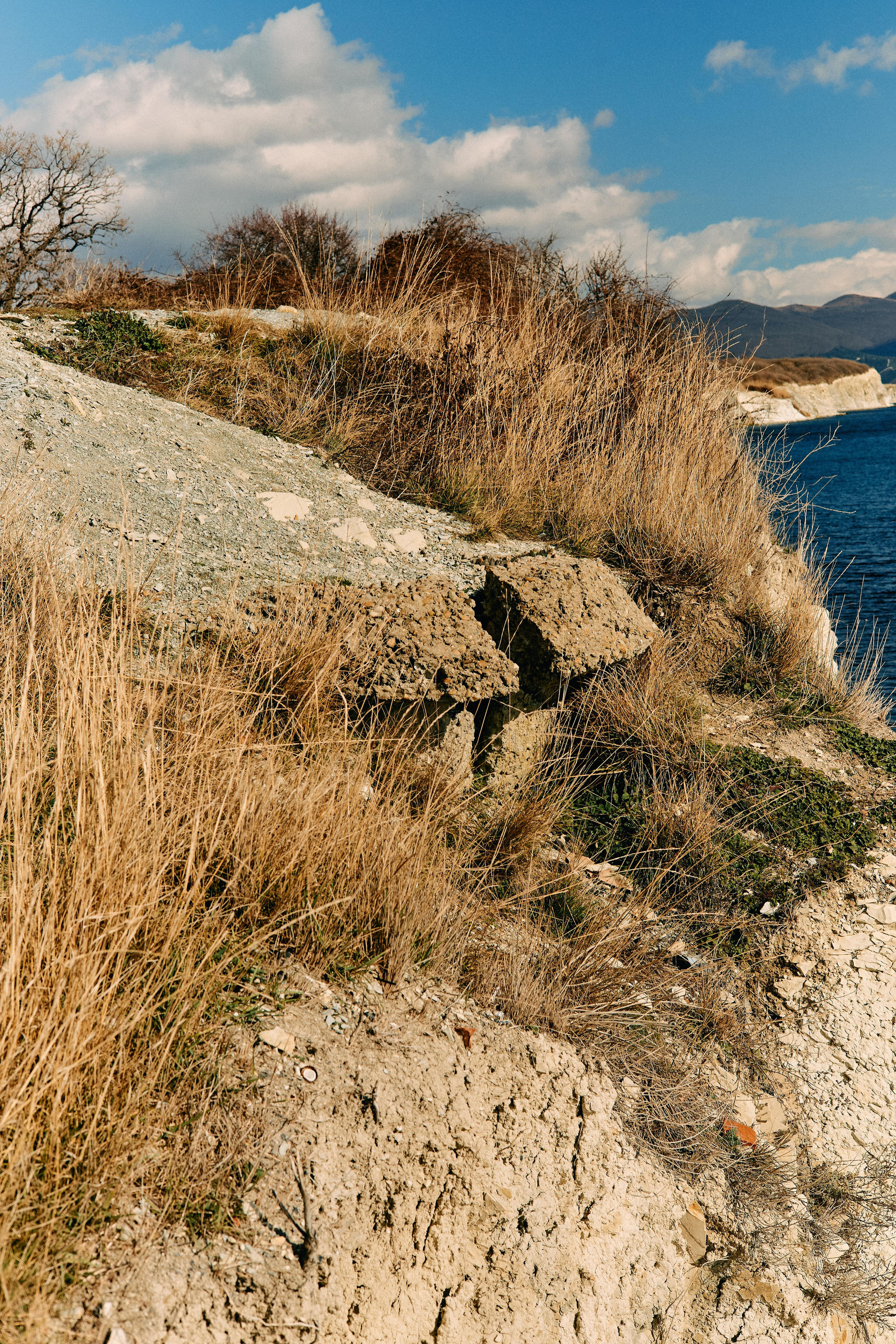 Юг России. Профессиональный Фотограф во Владимире, в Москве и в Суздале — Полина Романычева