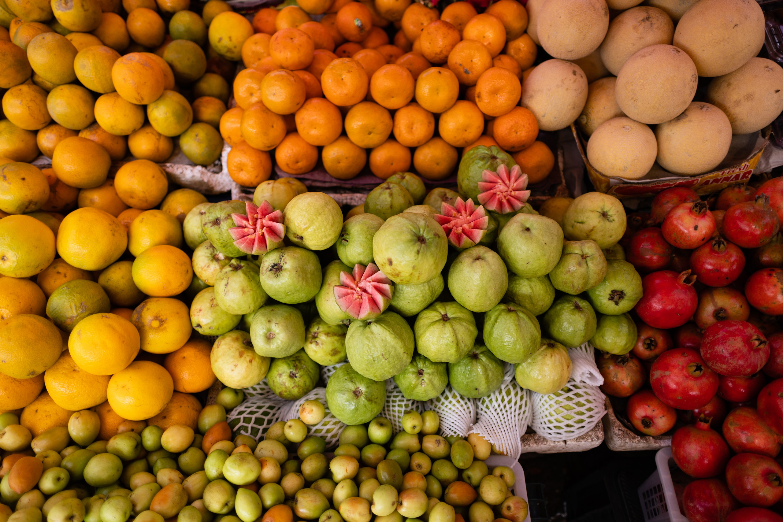 ГОА 2024. Руслан Плахтеев