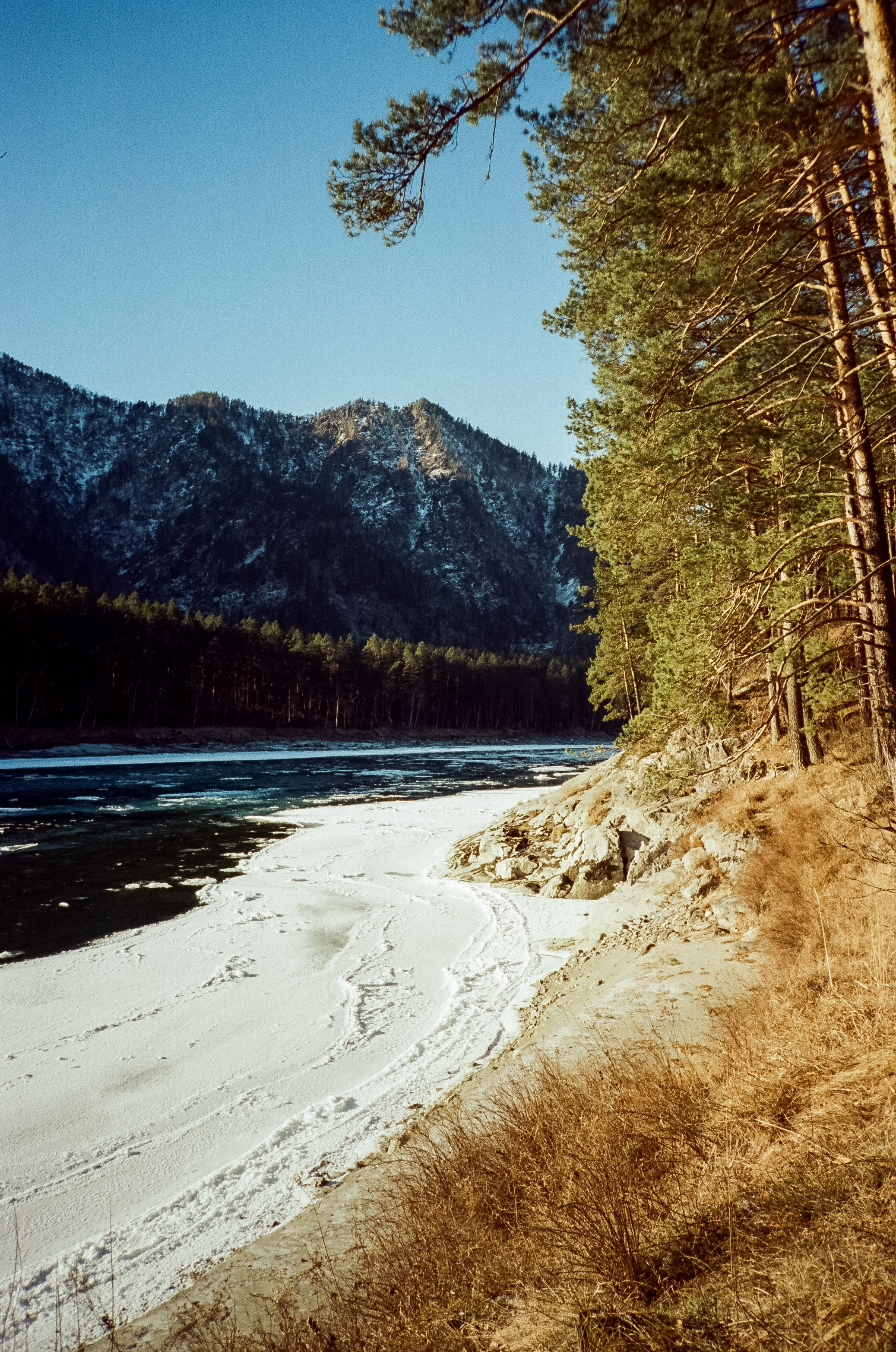 Подвесной мост Царская охота и база Белые скалы. Ледяная Катунь на сол. Фотограф-документалист Мария Осокина