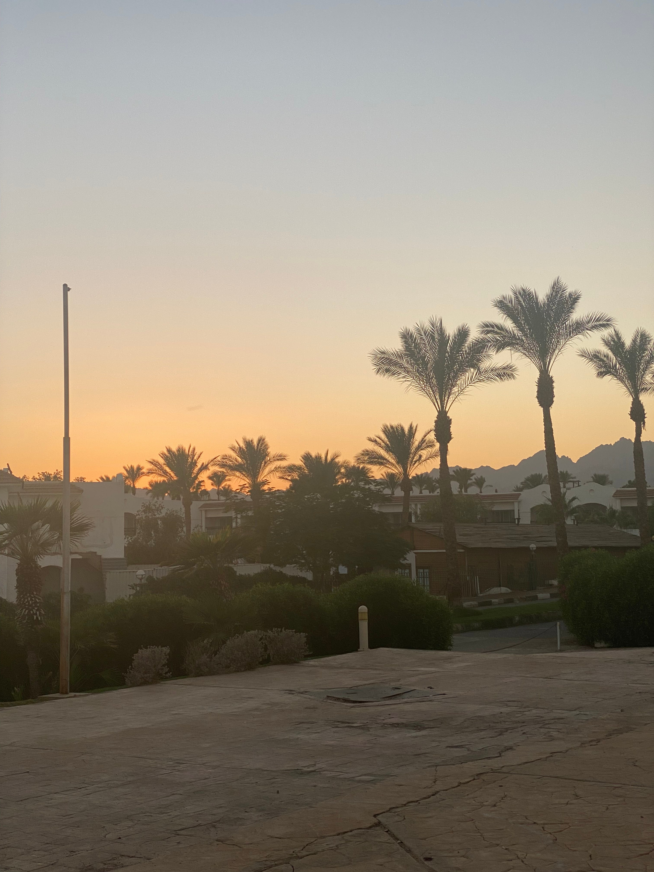 Египет — 21. Своя Мастерская