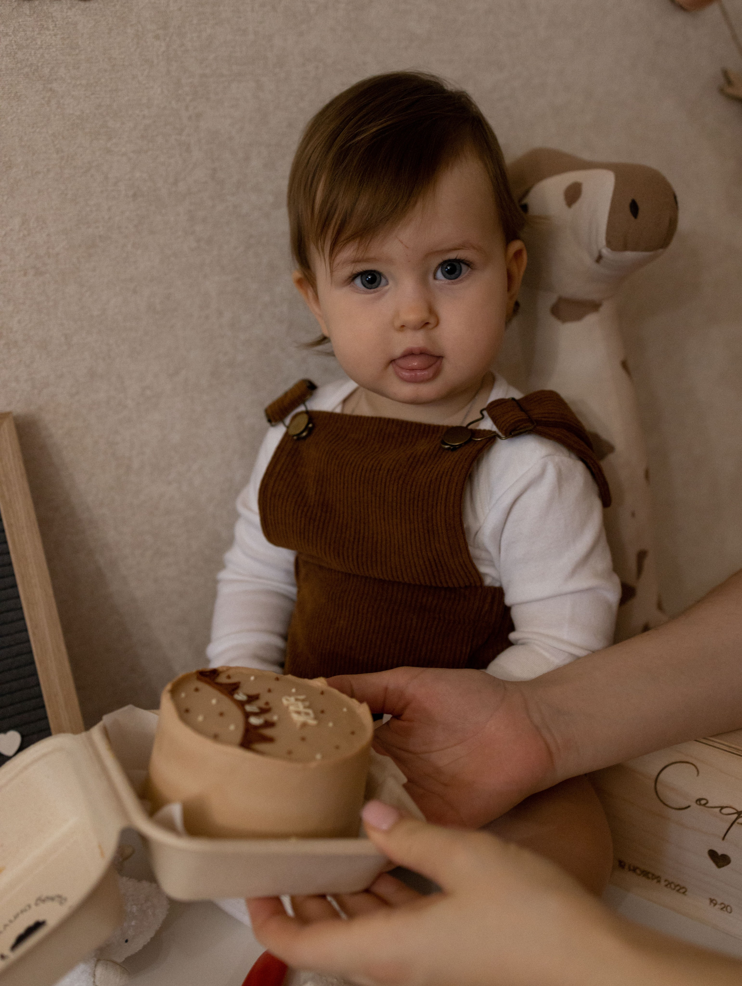 1 годик Софии. Фотограф Дарья Соколовская