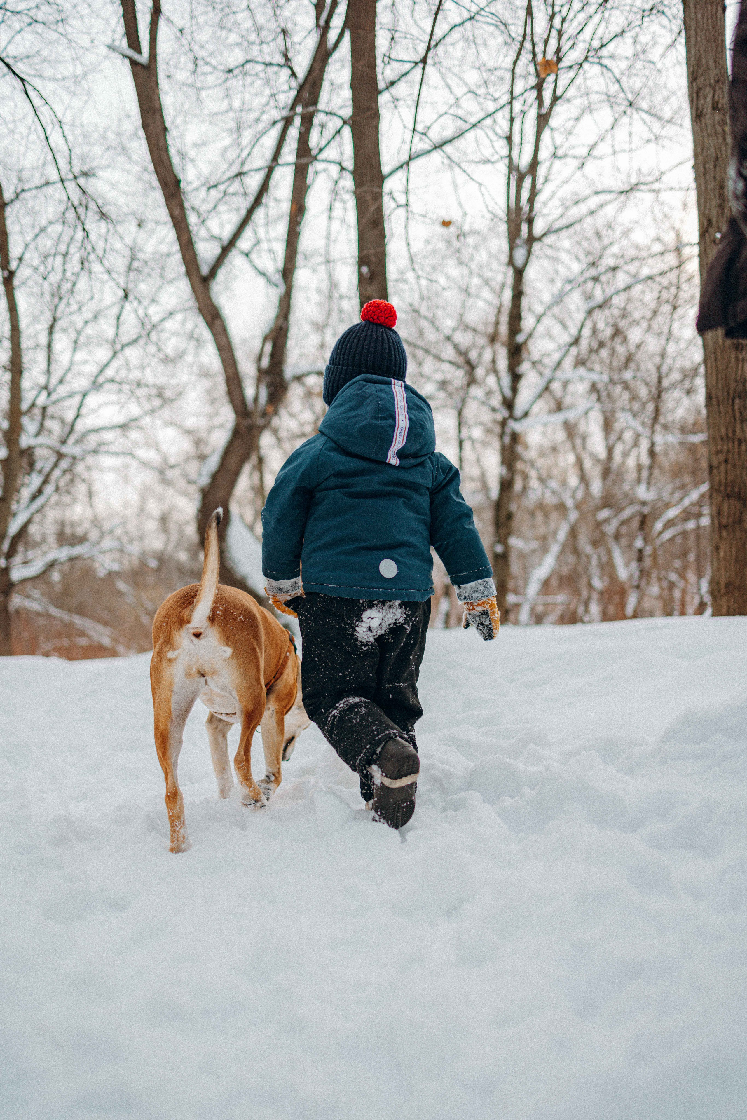 Свобода и ее семья. Фотограф-анималист в Москве Лера Черноног