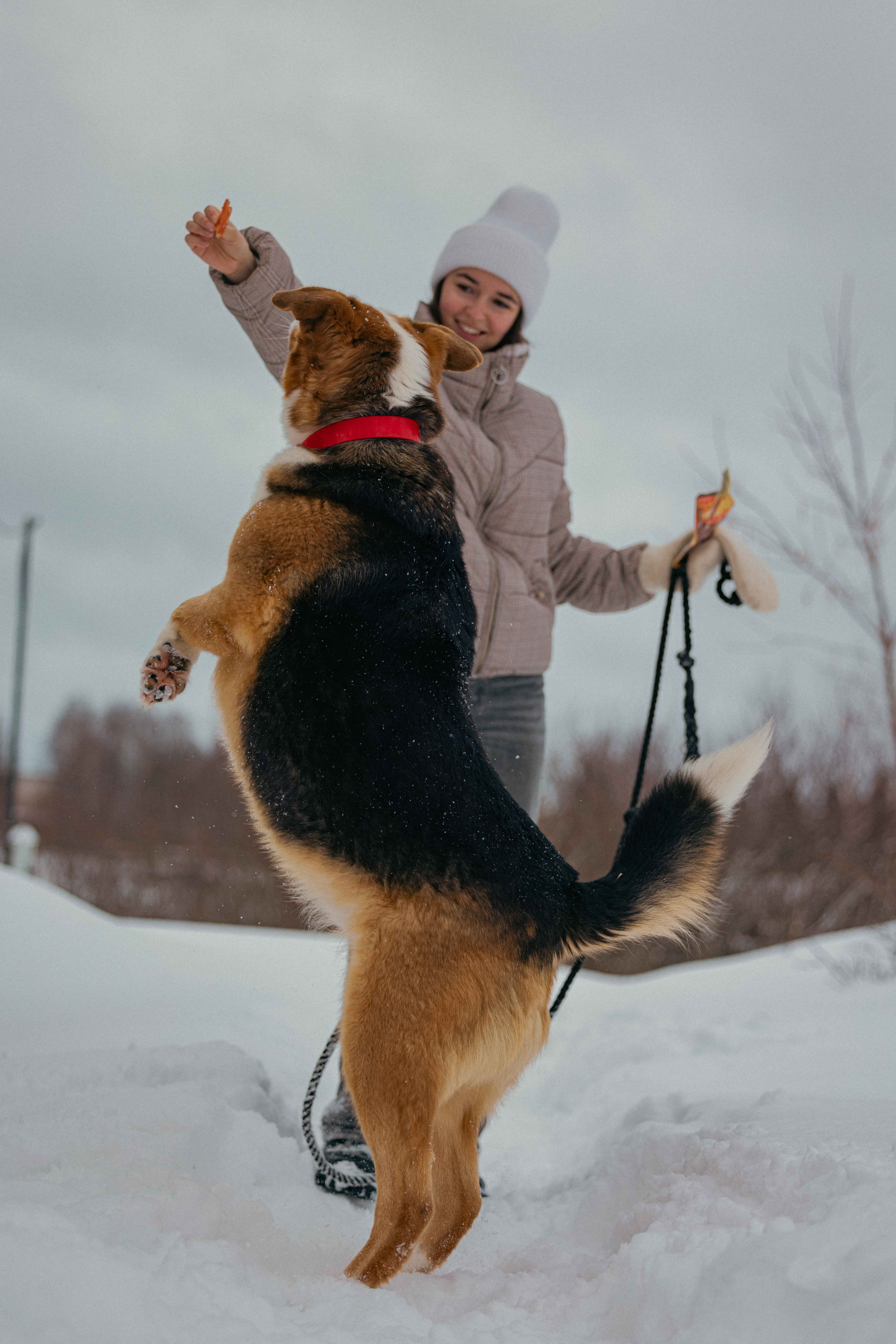 Петя. Фотограф-анималист в Москве Лера Черноног