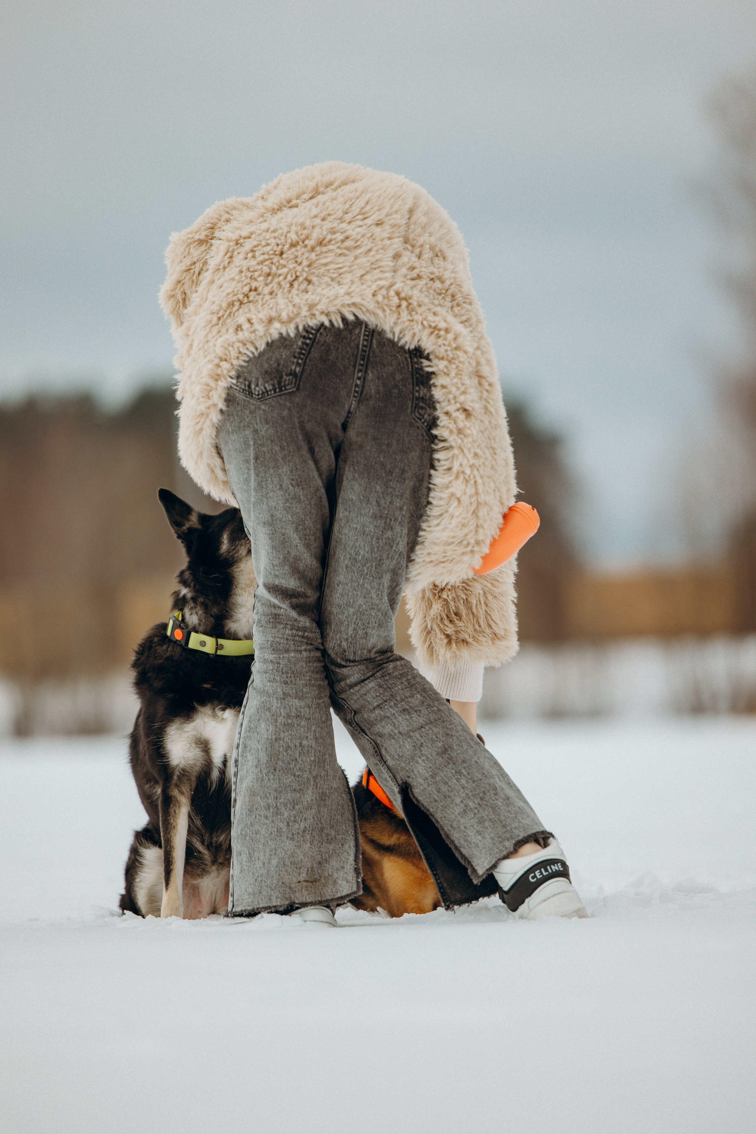 Ника, Матиша и Герда. Фотограф-анималист в Москве Лера Черноног