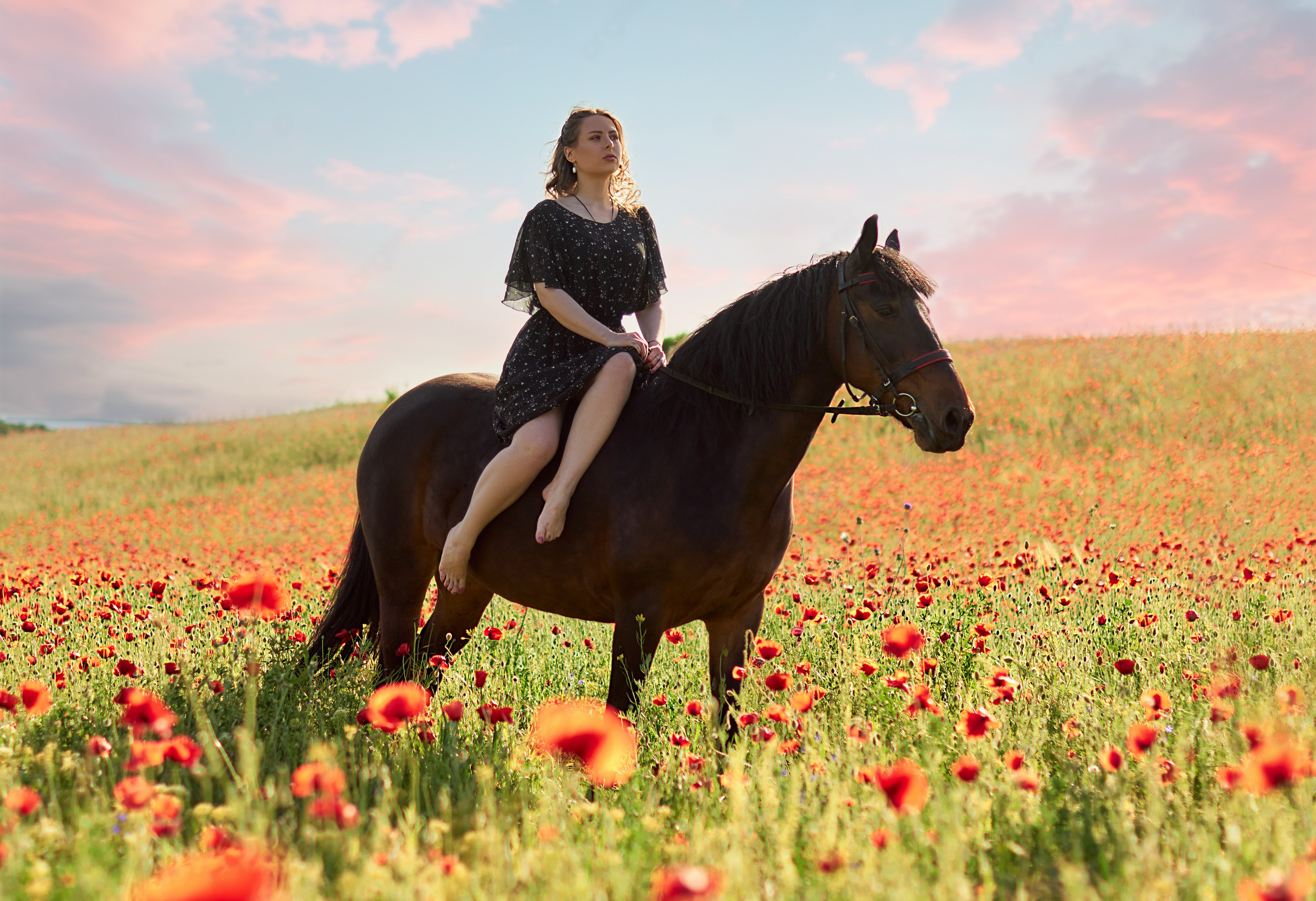 Фотосессия с лошадью Севастополь. Фотограф в Севастополе