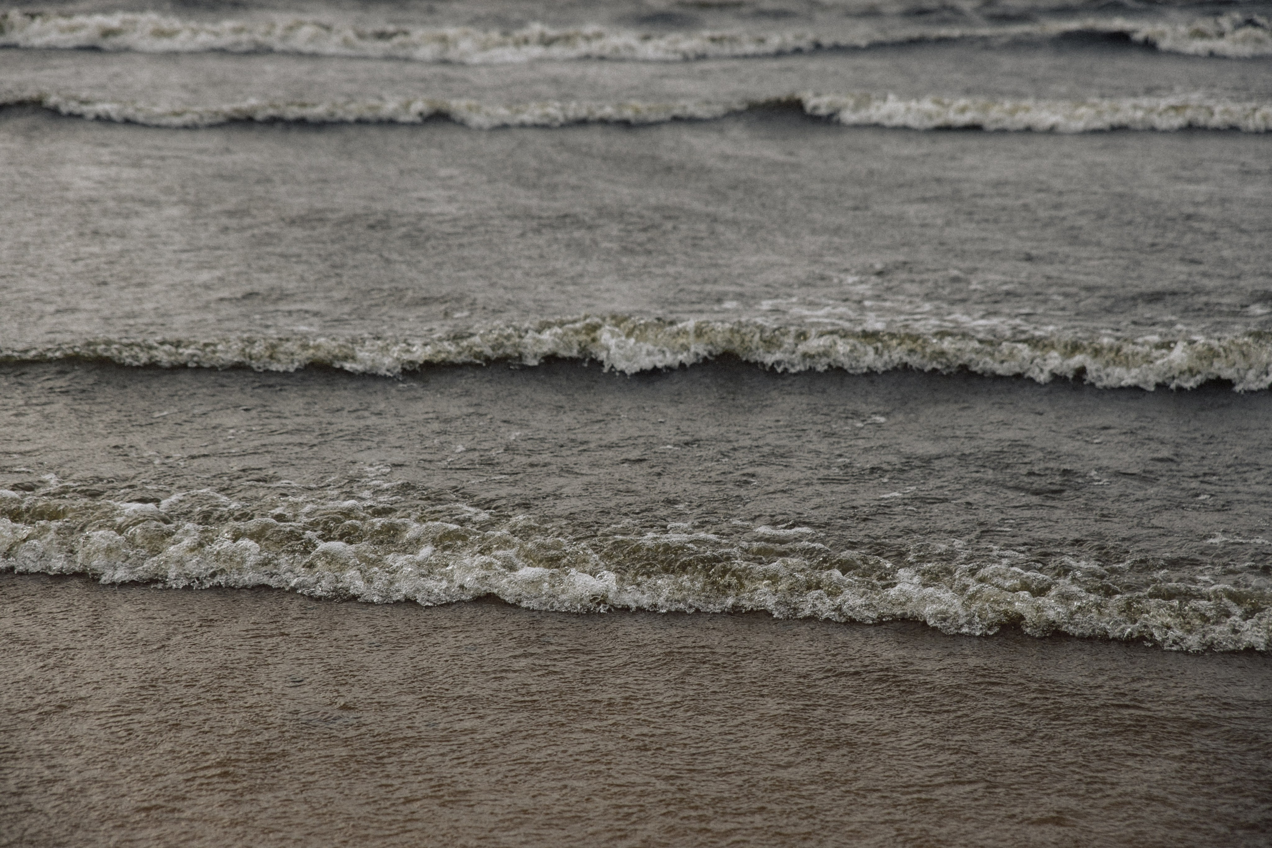 S E A. Главная