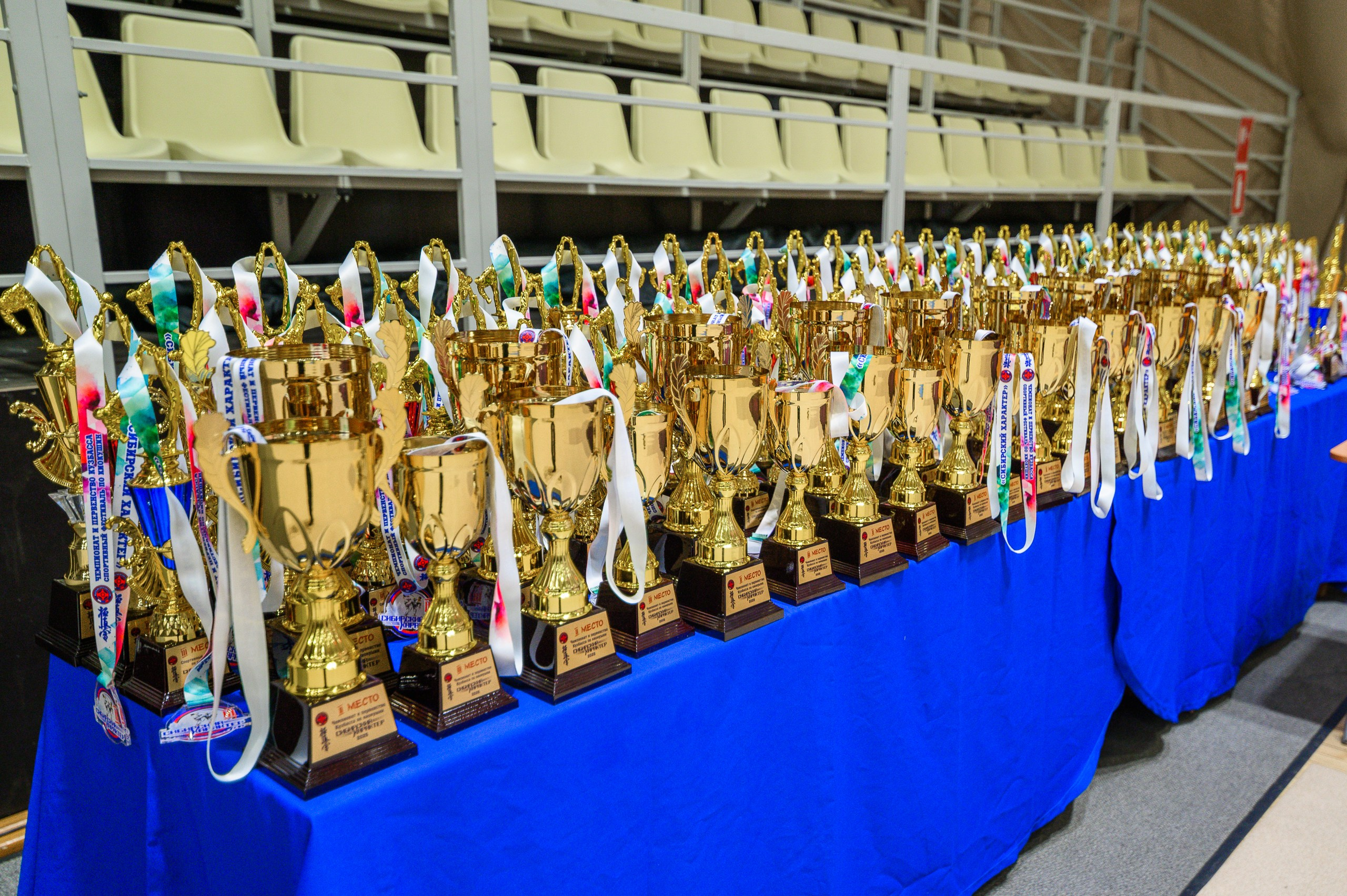 «Первенство и чемпионат Кузбасса по Киокушин» 09.03.25. Фотограф в Кемерово Владислав Шульц