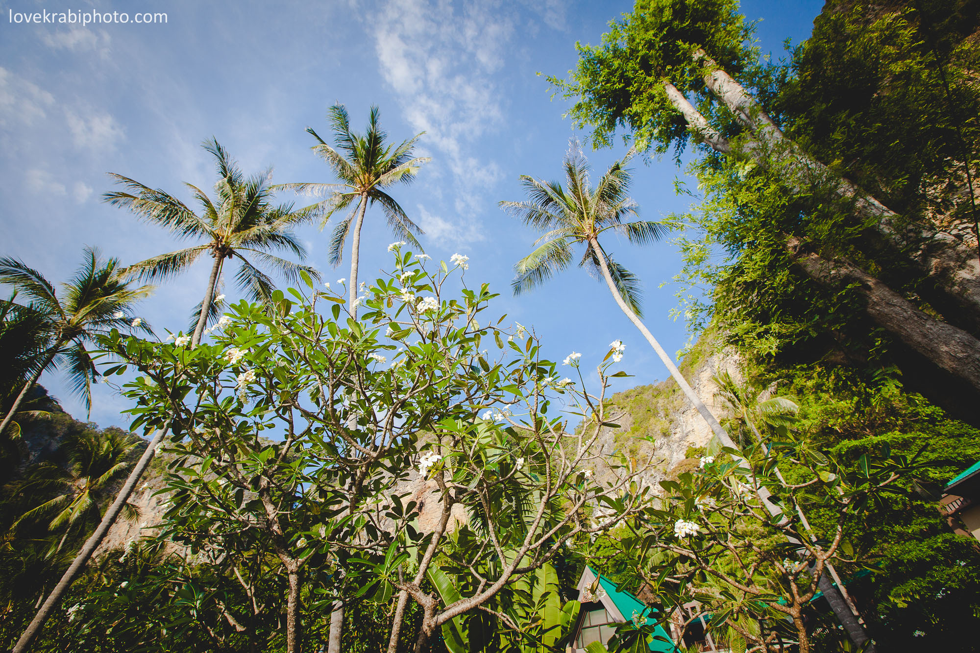 Centara Grand Krabi Proposal. Photography & Events Thailand Krabi