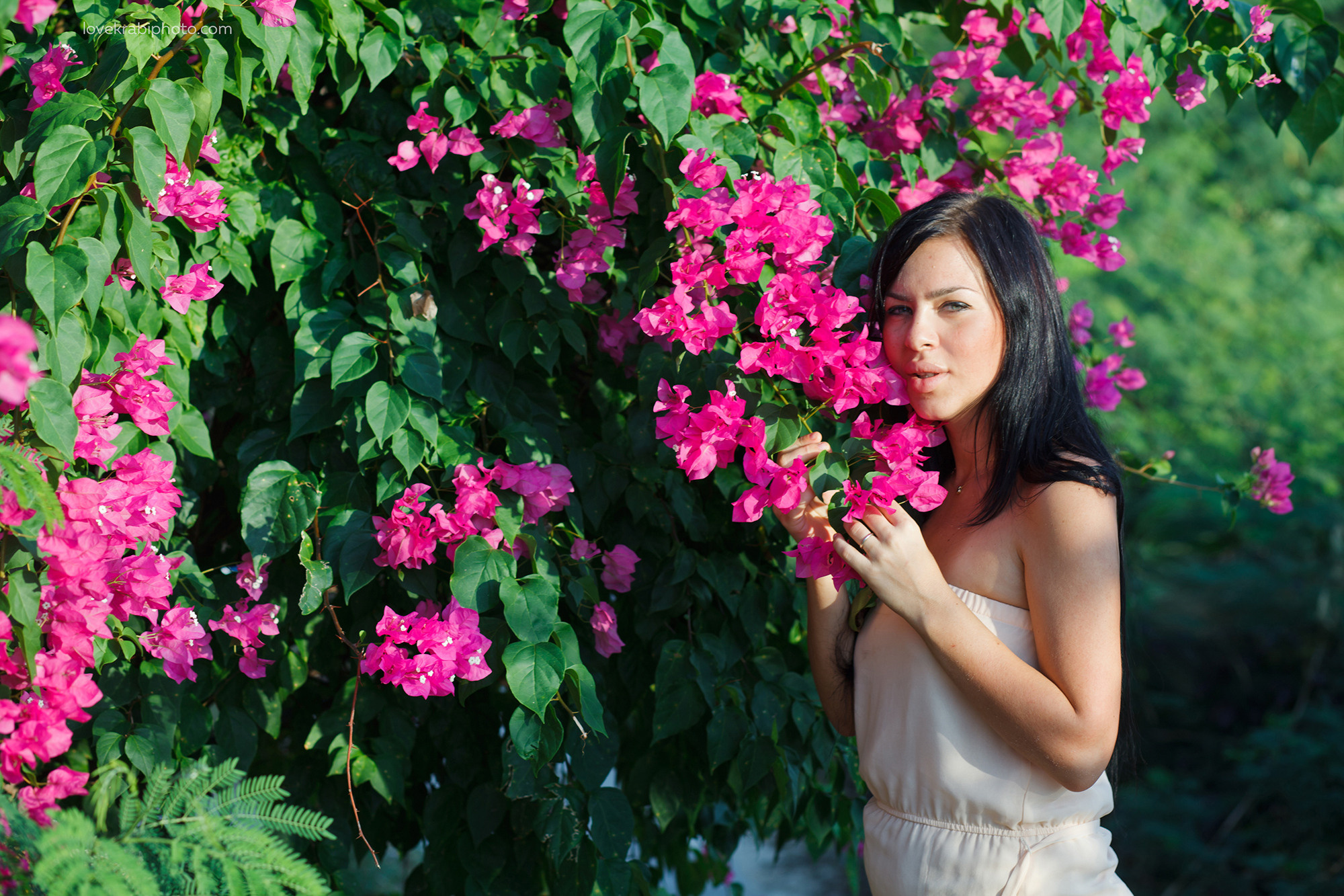 Phi Phi Boat Tour. Photography & Events Thailand Krabi