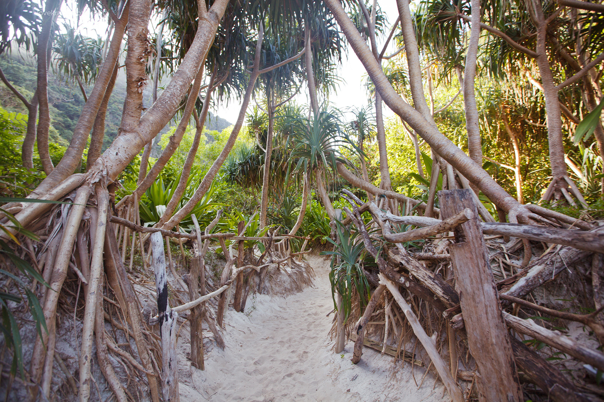 Phi Phi Boat Tour. Photography & Events Thailand Krabi