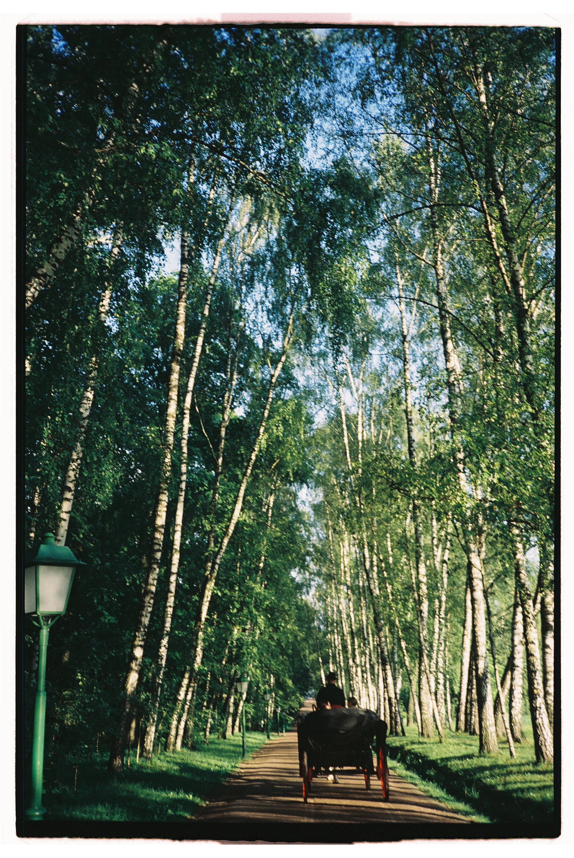 Ясная Поляна | Андрей и Кристина. Фотограф Москва | Кирилл Неплюев