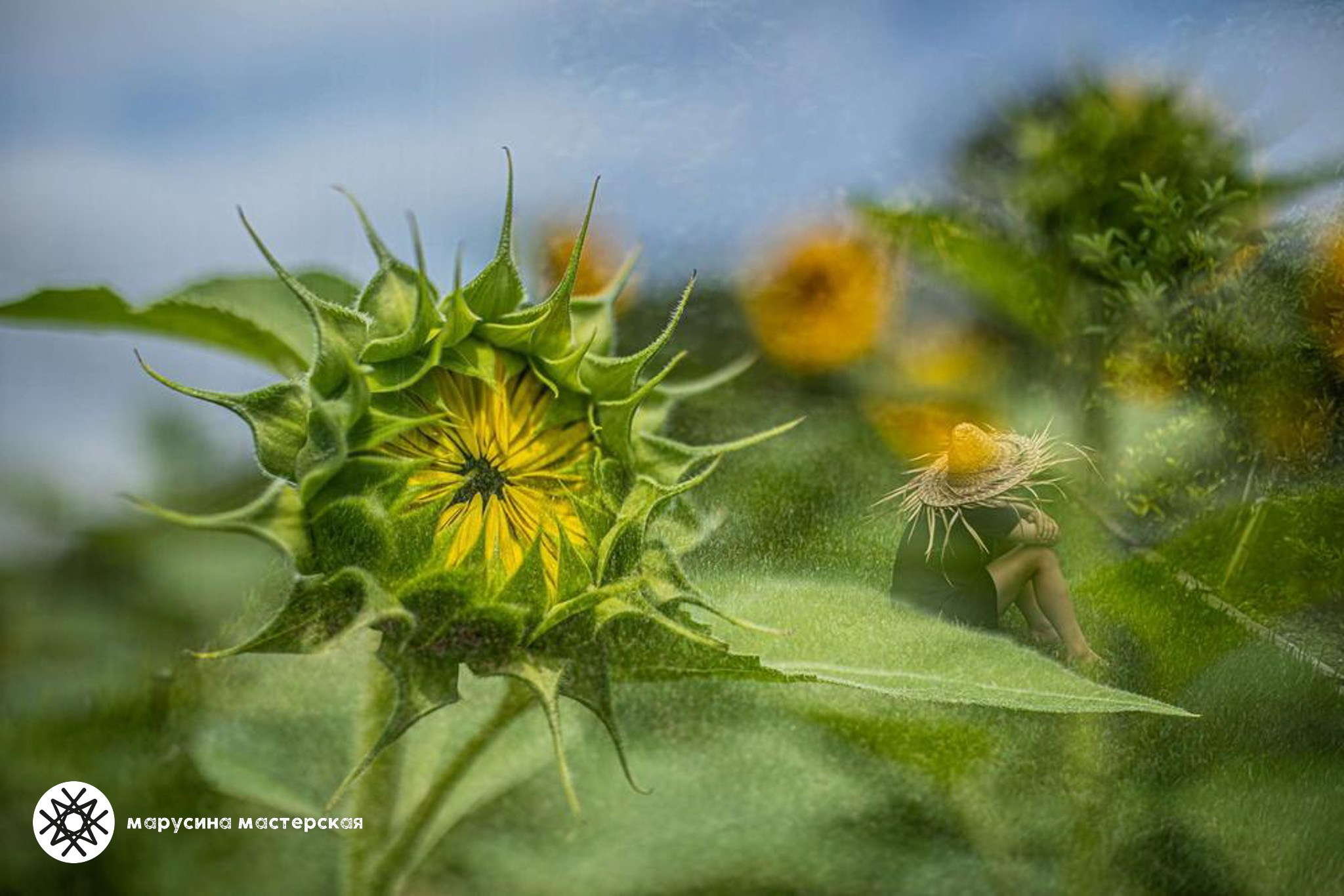 Ксения Мирная