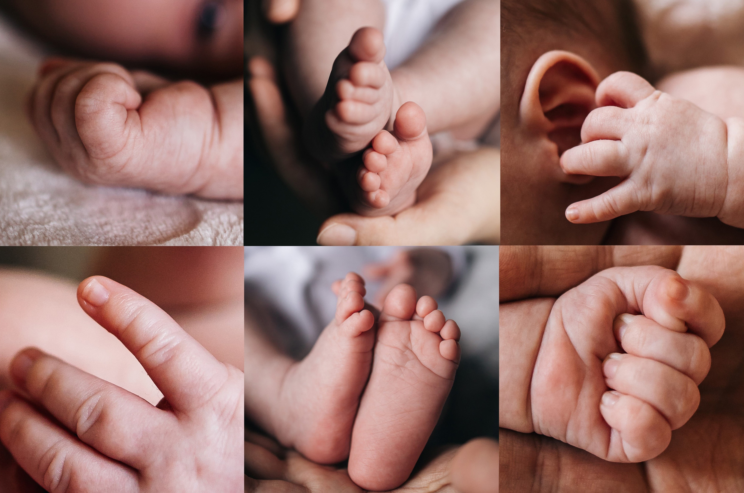 Зоечке 1 месяц. Семейный, свадебный и портретный фотограф в Саратове Мария Засыпкина