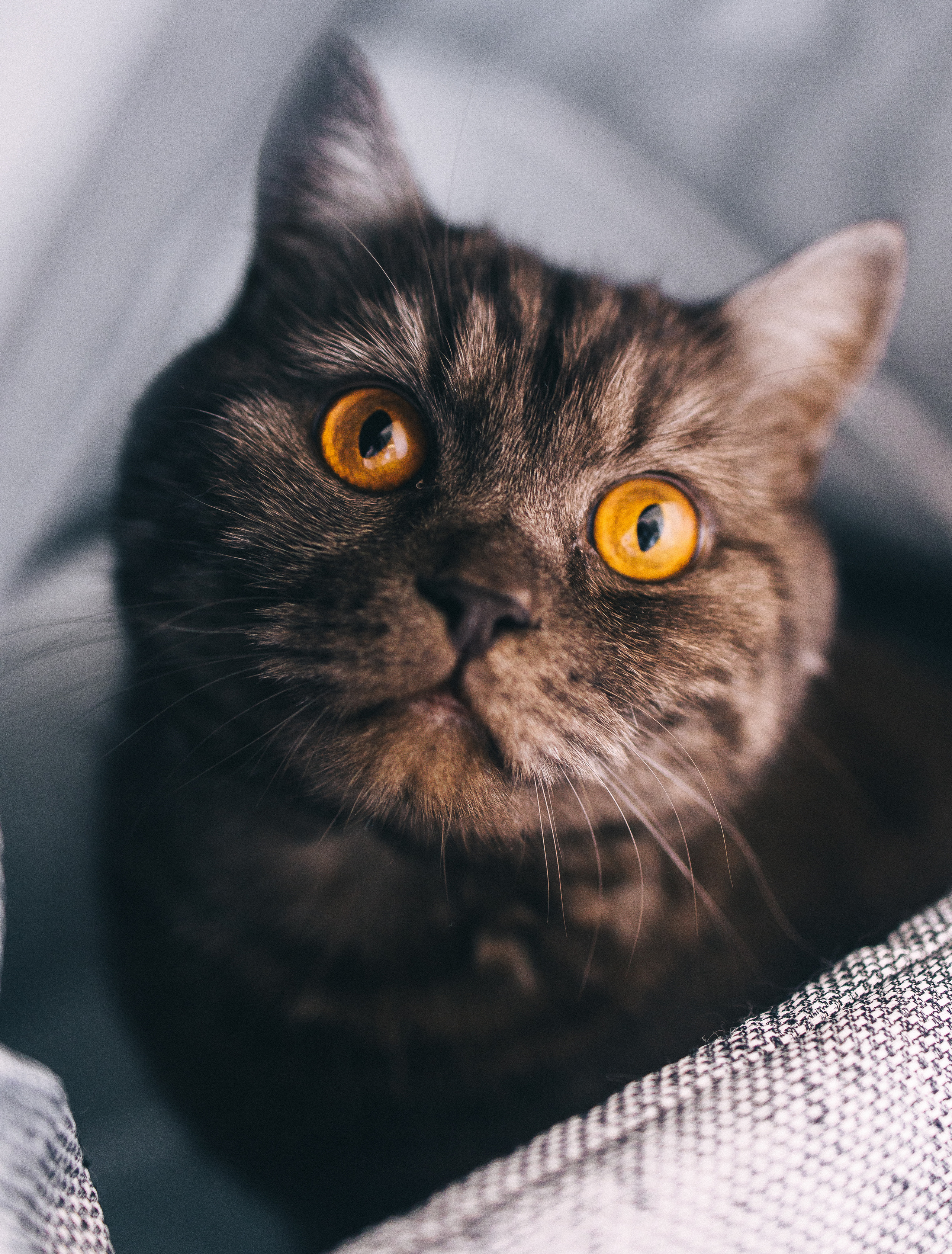 Зоечке 6 месяцев. Семейный, свадебный и портретный фотограф в Саратове Мария Засыпкина