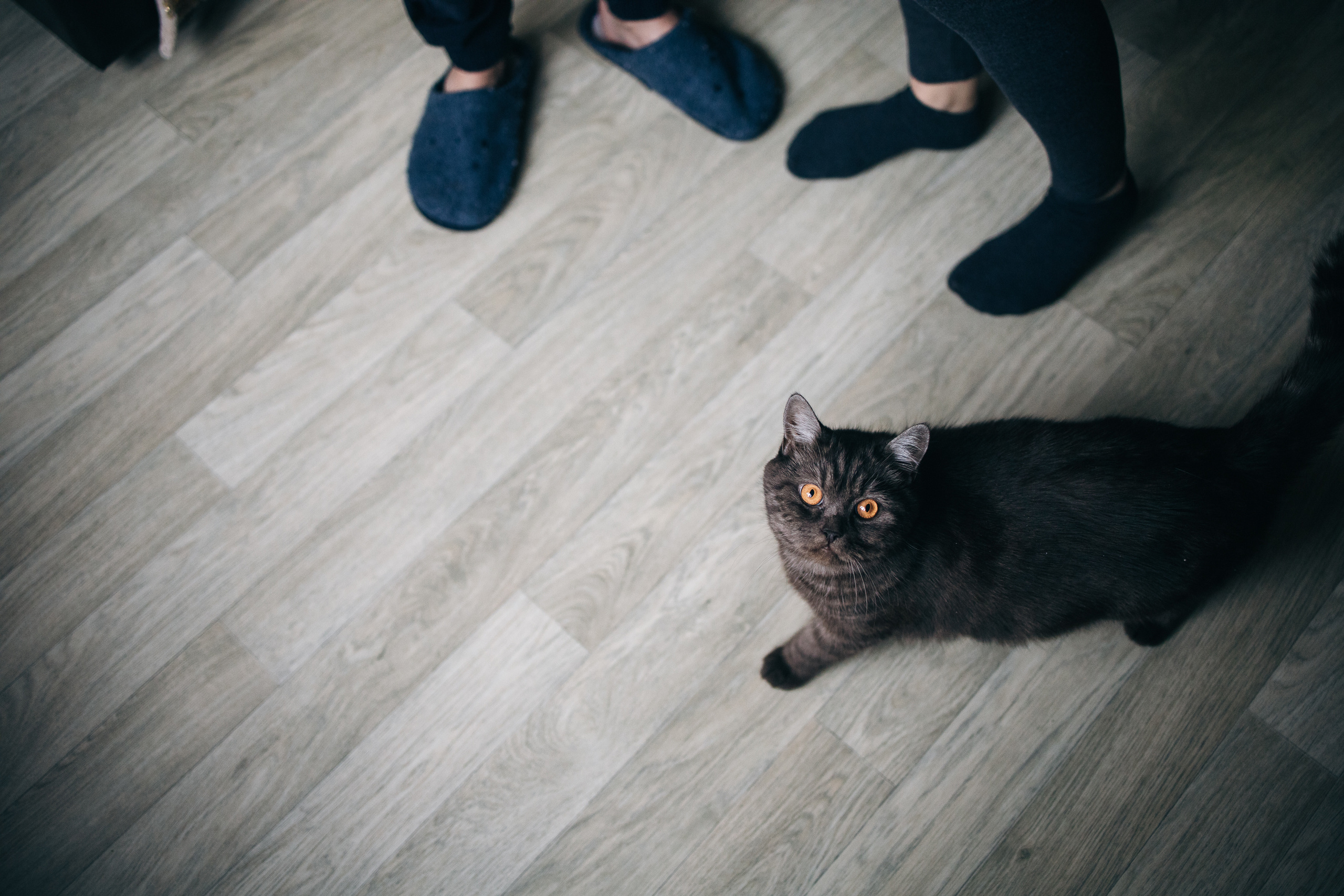 Зоечке 1 месяц. Семейный, свадебный и портретный фотограф в Саратове Мария Засыпкина