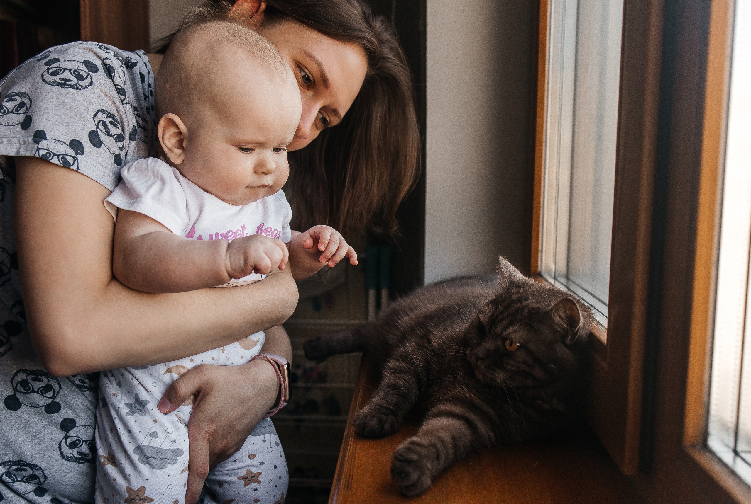 Зоечке 6 месяцев. Семейный, свадебный и портретный фотограф в Саратове Мария Засыпкина