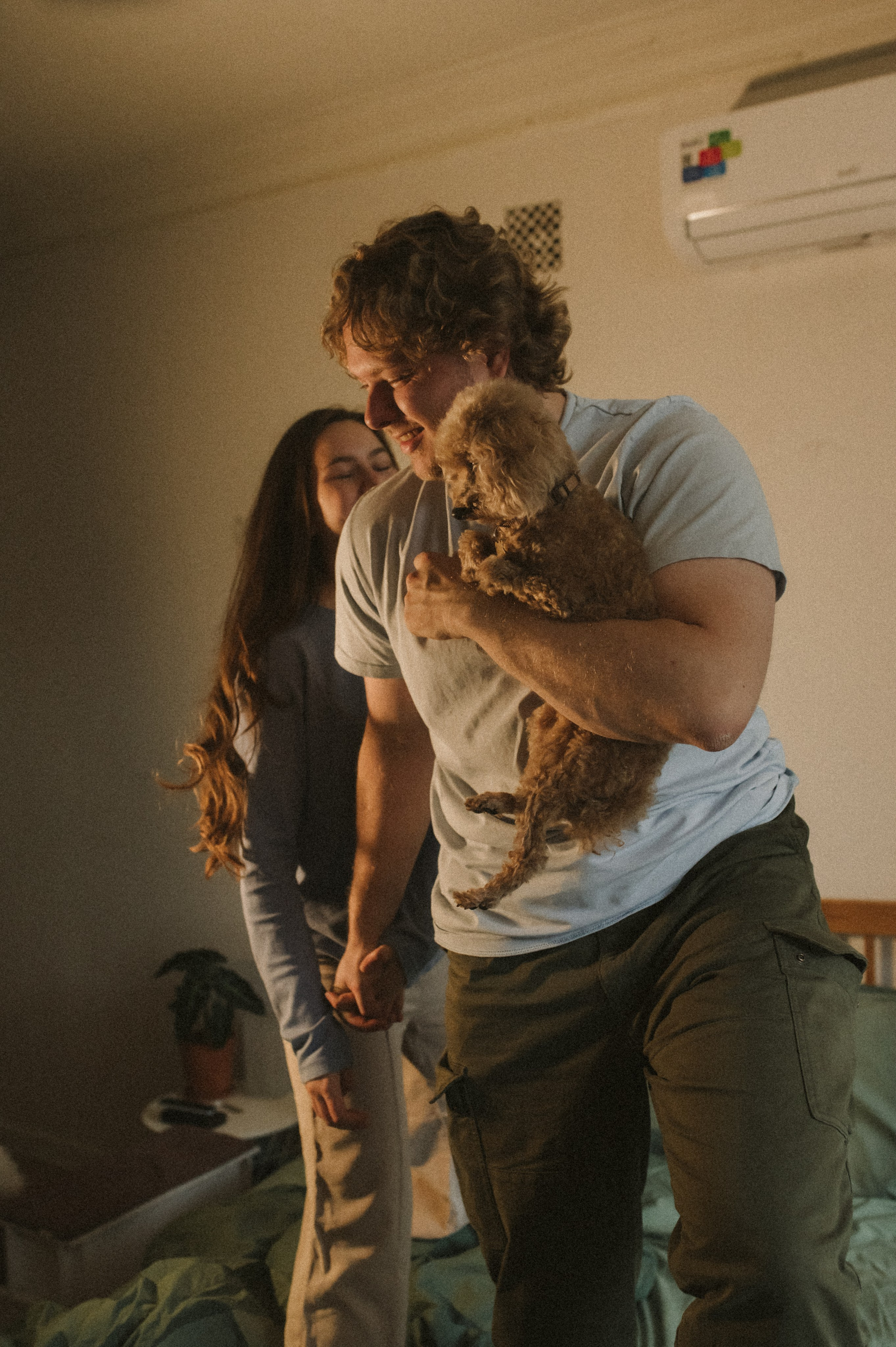 Ання и её кудрявая команда. Фотограф анималист в Москве Ольга Агушева