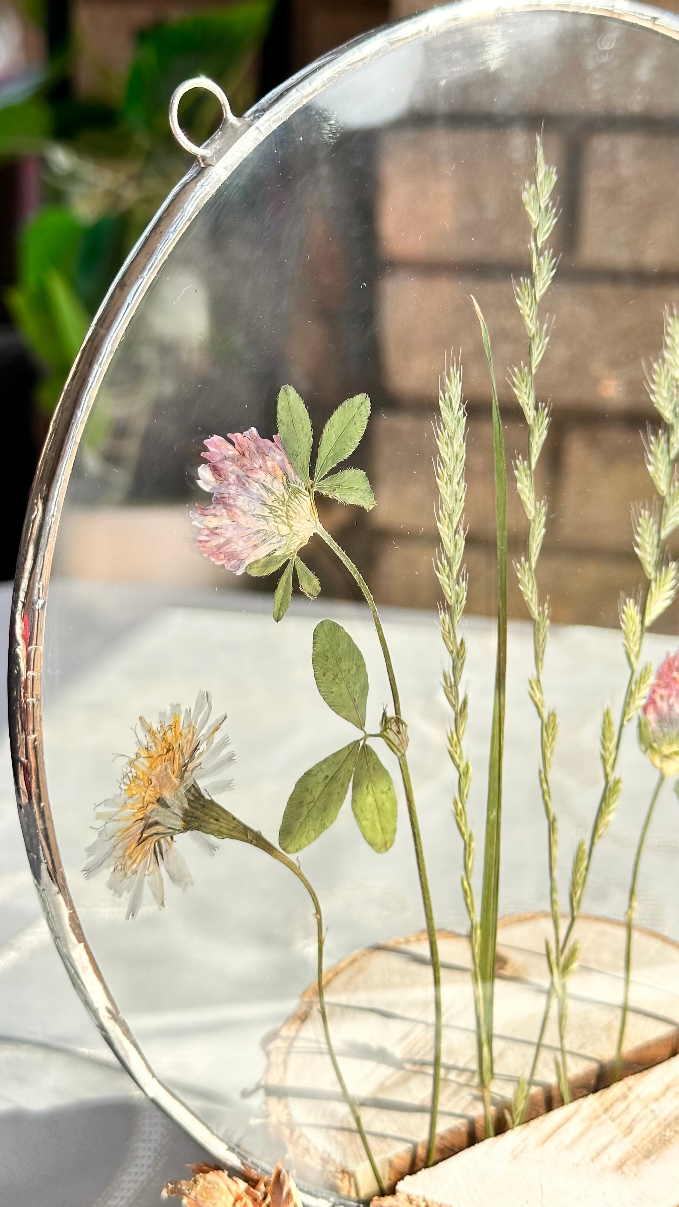 Гербарий полевые цветы витраж техника тиффани. Гербарий в стекле, интерьерные панно, витражи с сухоцветами в технике тиффани