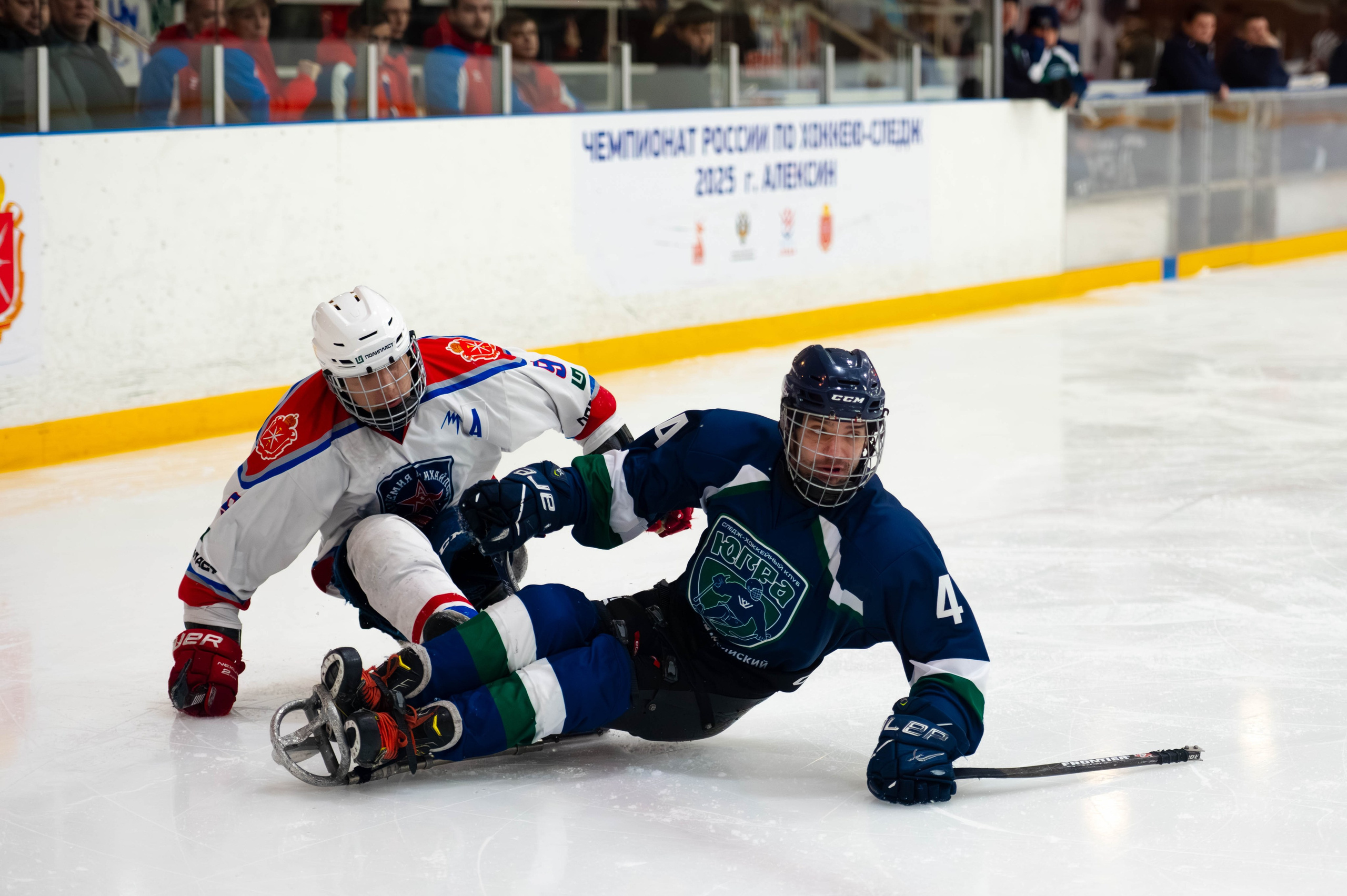 ЧР по хоккею следж. Алексин, 2025. Спортивный фотограф в Туле и Тульской области. Файсханова Фото Спорт