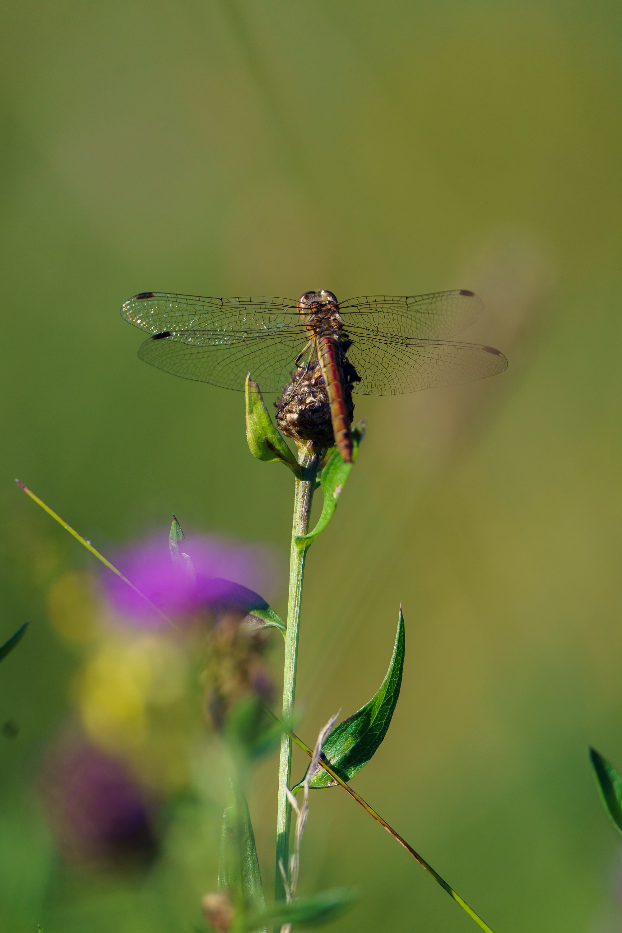 Фотографии Национальный парк Угра. Фотограф спортивные события, недвижимость, турбизнес